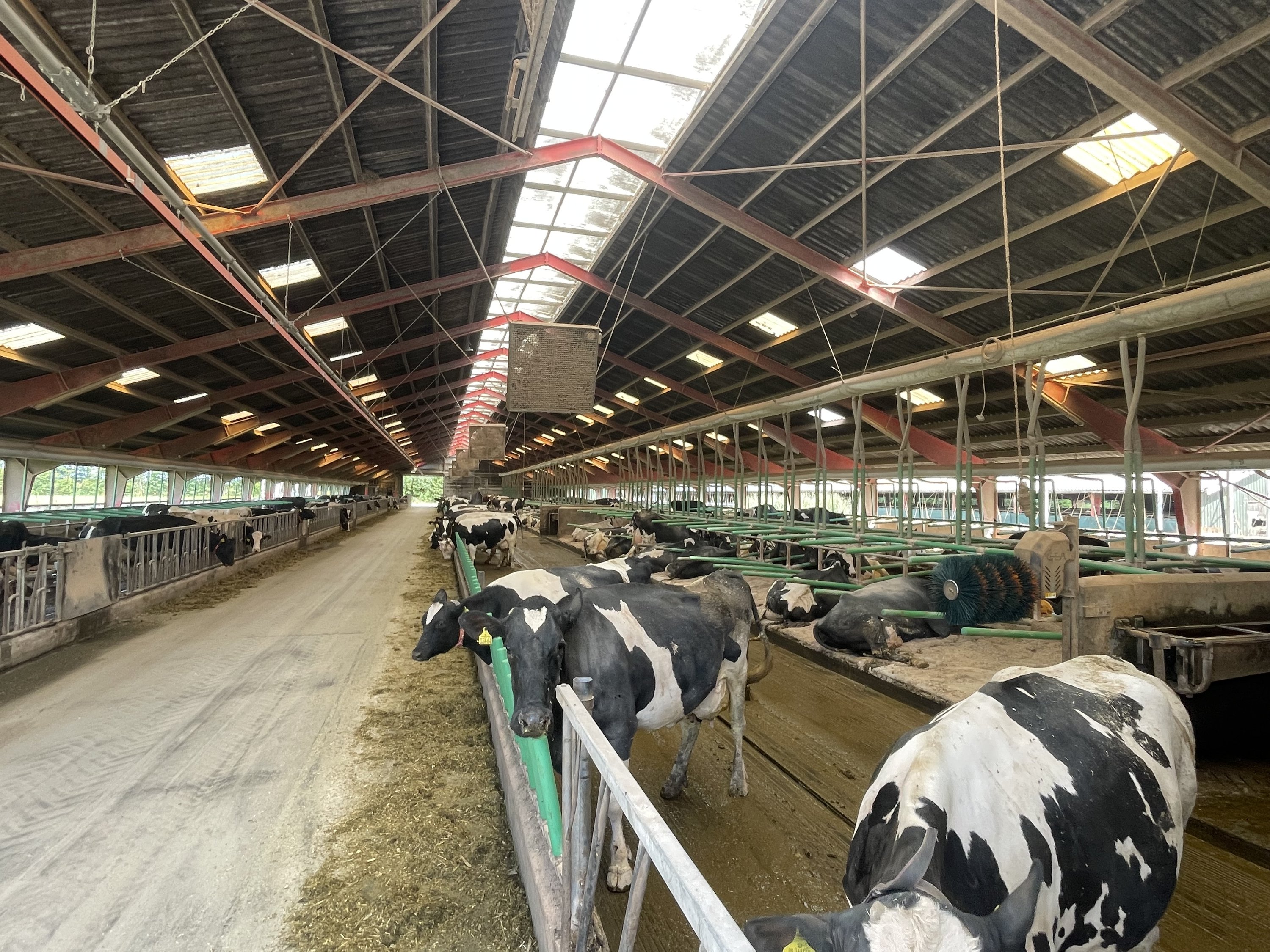 Fremhævet kostald set fra syd billede i fuldskærmstilstand. Billede af Åbølvej 16, 6372 Bylderup-Bov