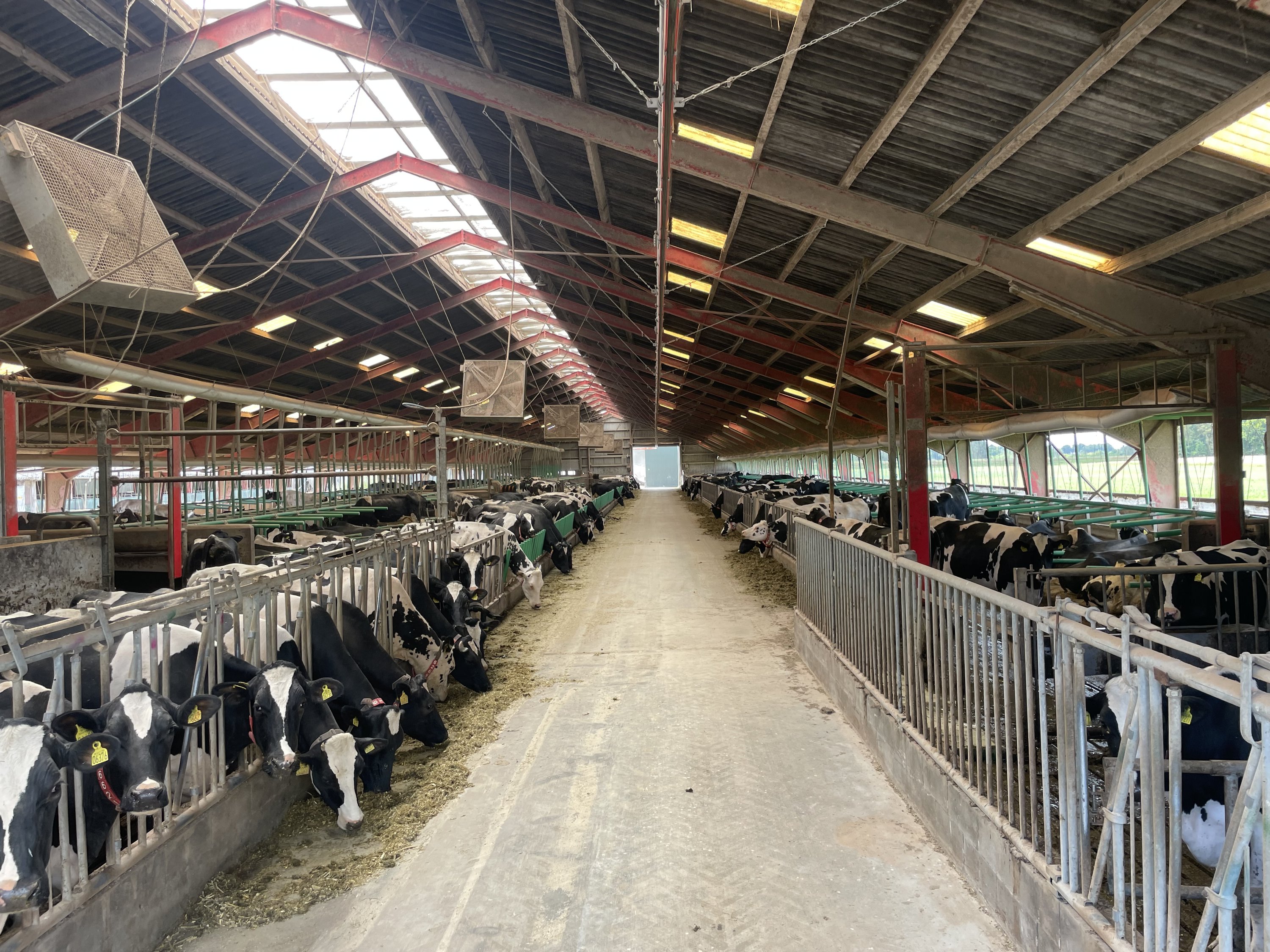 Miniaturebillede 2: kostald set fra nord. Billede af Åbølvej 16, 6372 Bylderup-Bov