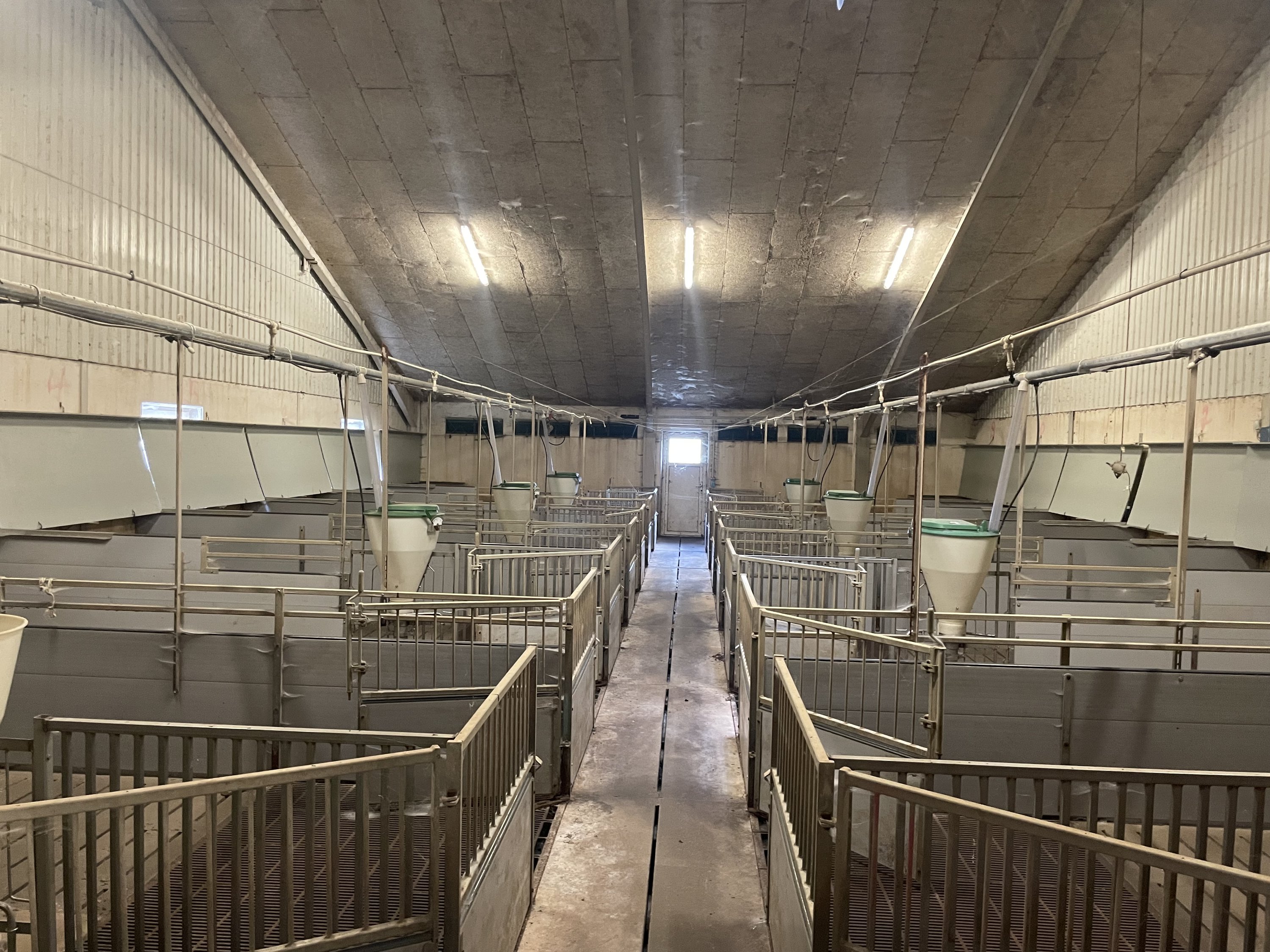 Fremhævet slagtesvinestald billede i fuldskærmstilstand. Billede af Åbølvej 16, 6372 Bylderup-Bov