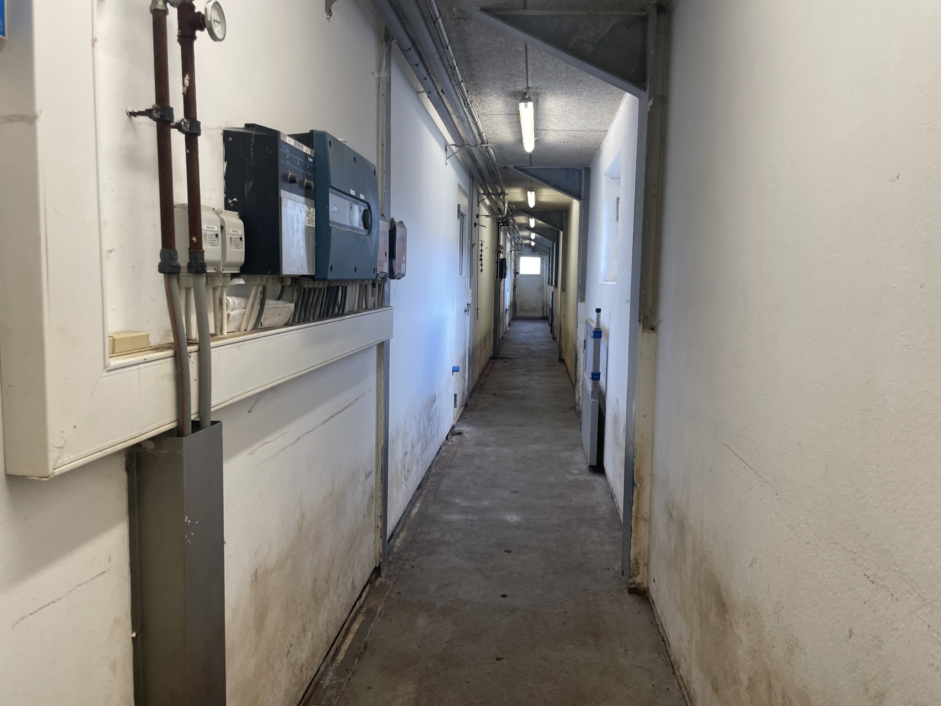 Fremhævet gang i svinestald billede i fuldskærmstilstand. Billede af Åbølvej 16, 6372 Bylderup-Bov