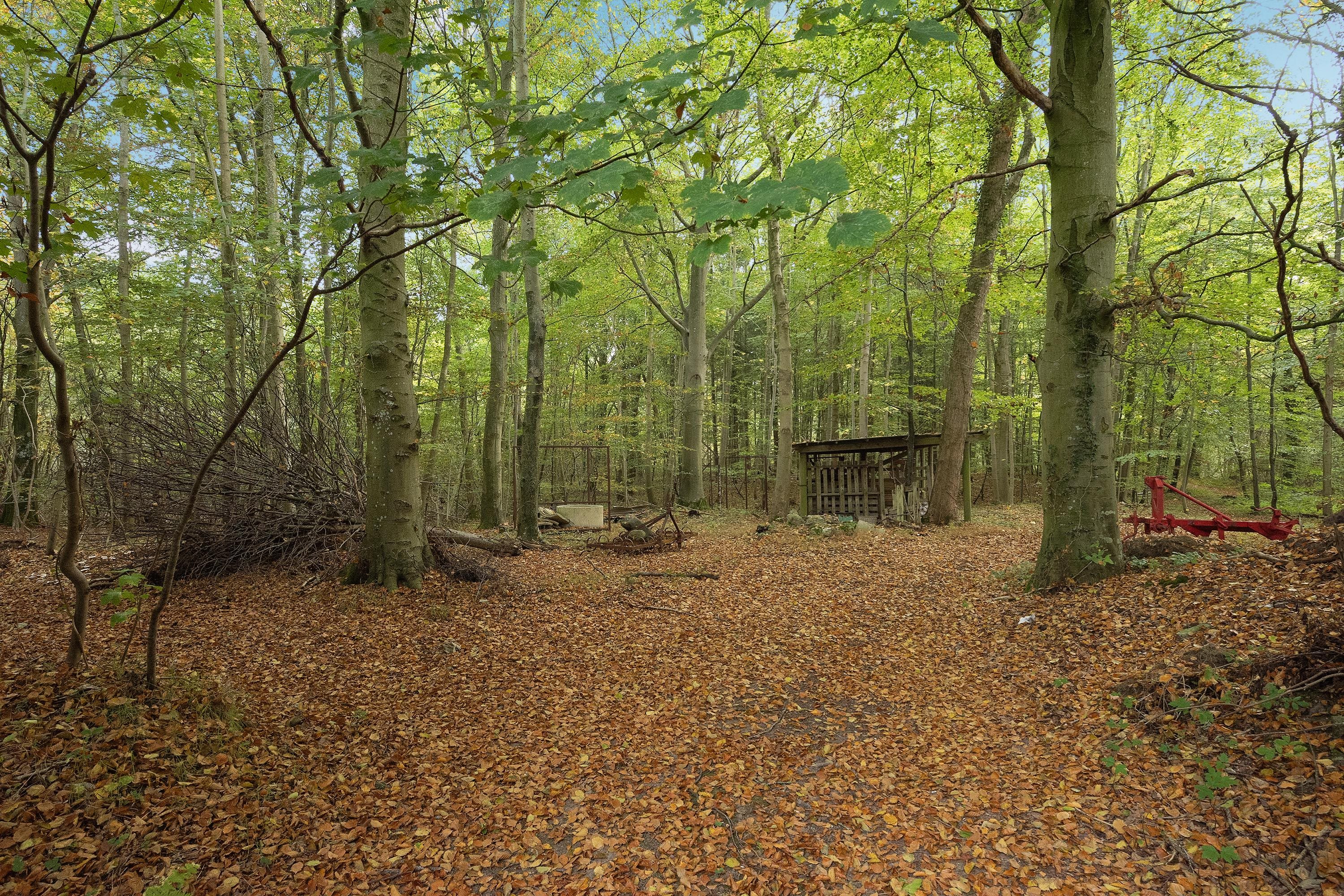 Fremhævet område billede i fuldskærmstilstand. Billede af Harndrup Skov 23, Harndrupskov, 5463 Harndrup