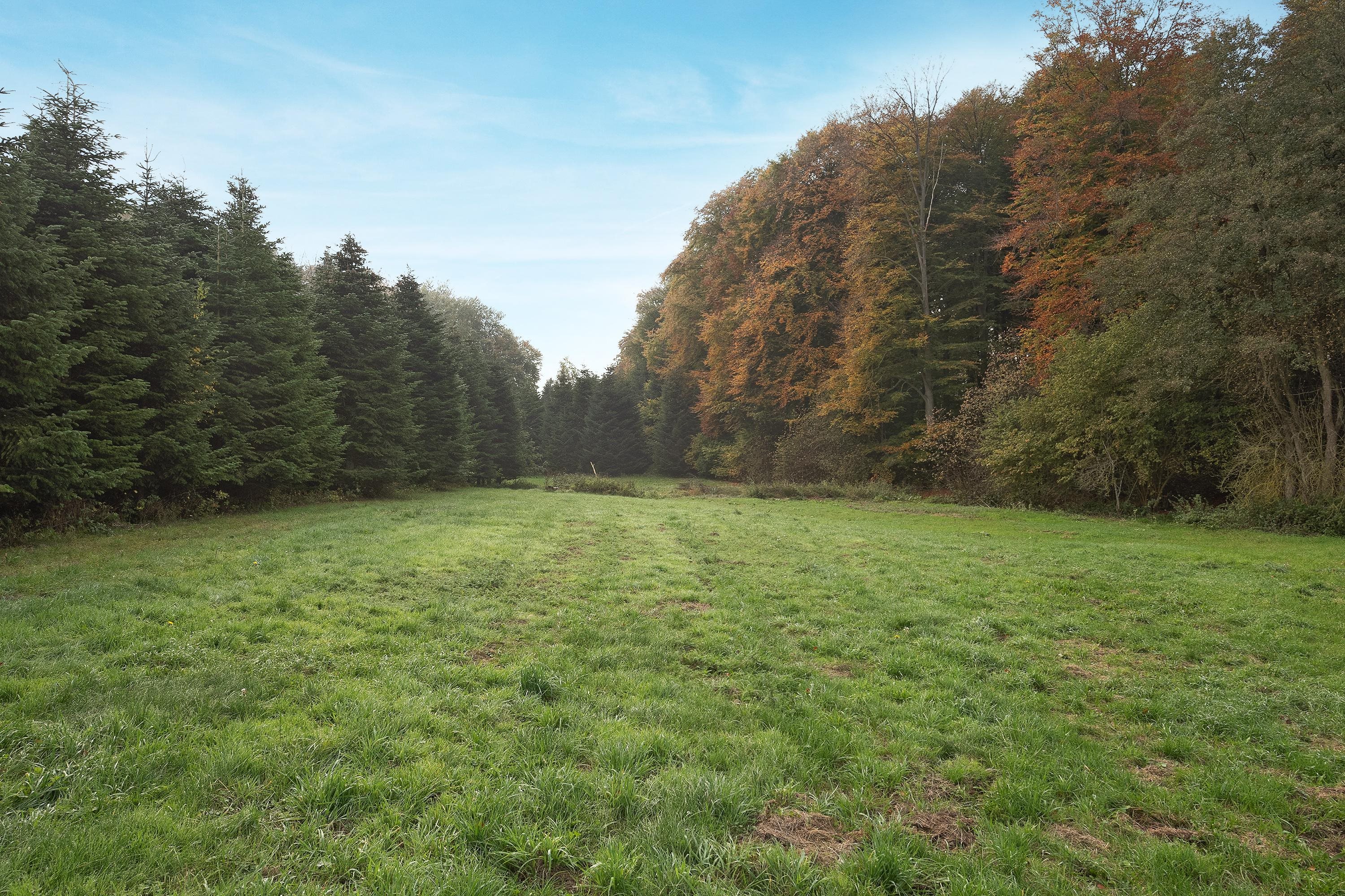 Fremhævet område billede i fuldskærmstilstand. Billede af Harndrup Skov 23, Harndrupskov, 5463 Harndrup