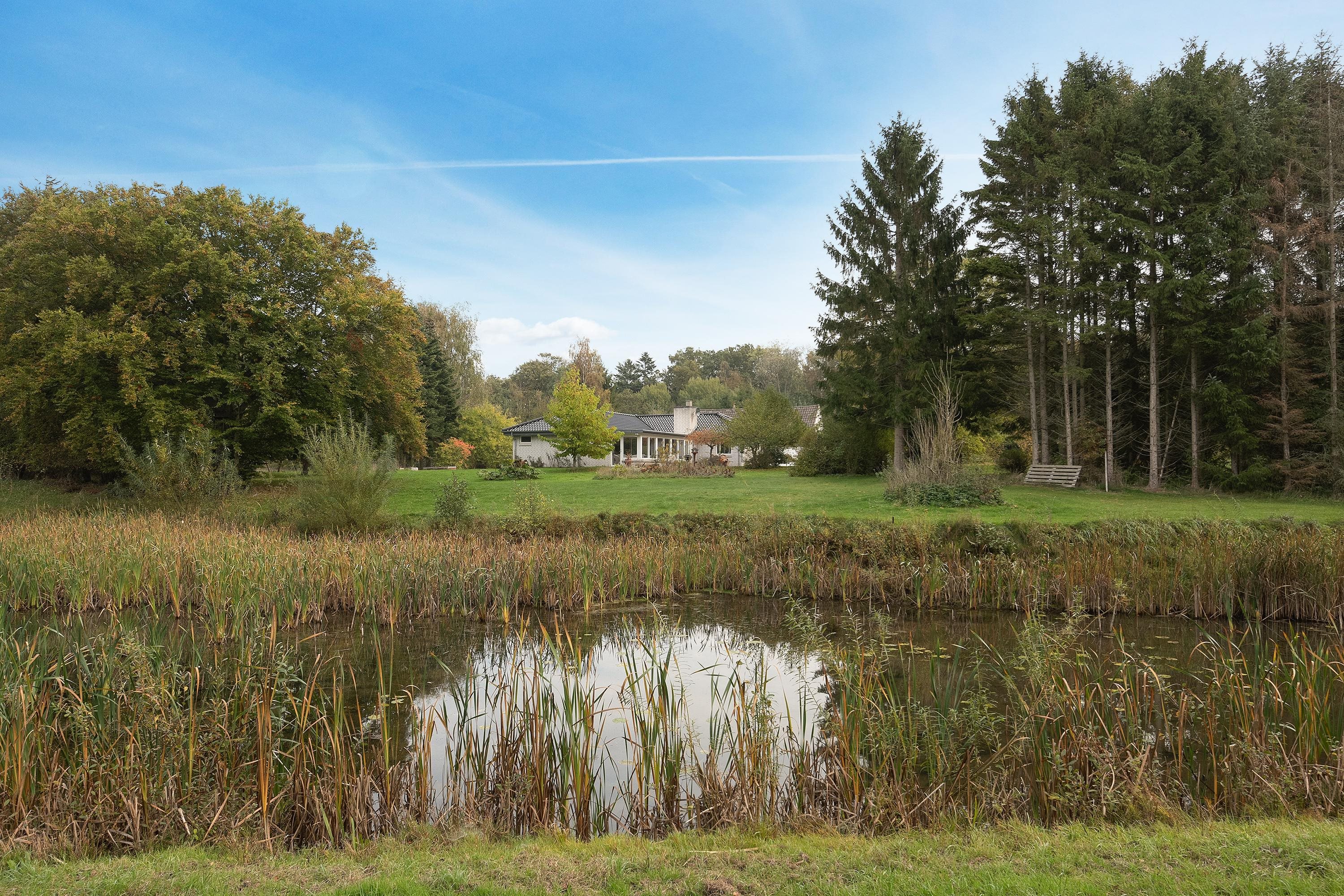 Fremhævet område billede i fuldskærmstilstand. Billede af Harndrup Skov 23, Harndrupskov, 5463 Harndrup