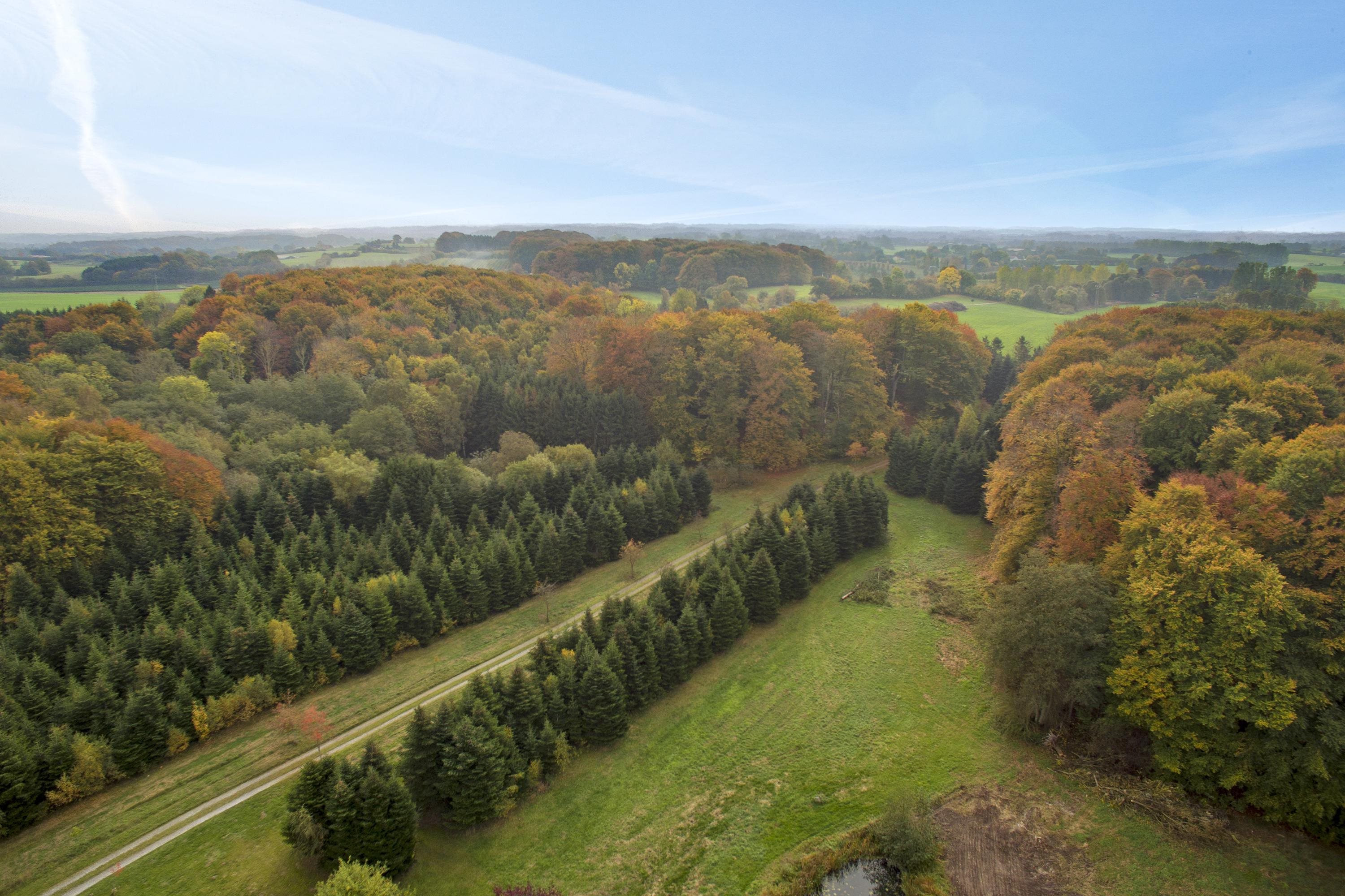Fremhævet luftfoto billede i fuldskærmstilstand. Billede af Harndrup Skov 23, Harndrupskov, 5463 Harndrup