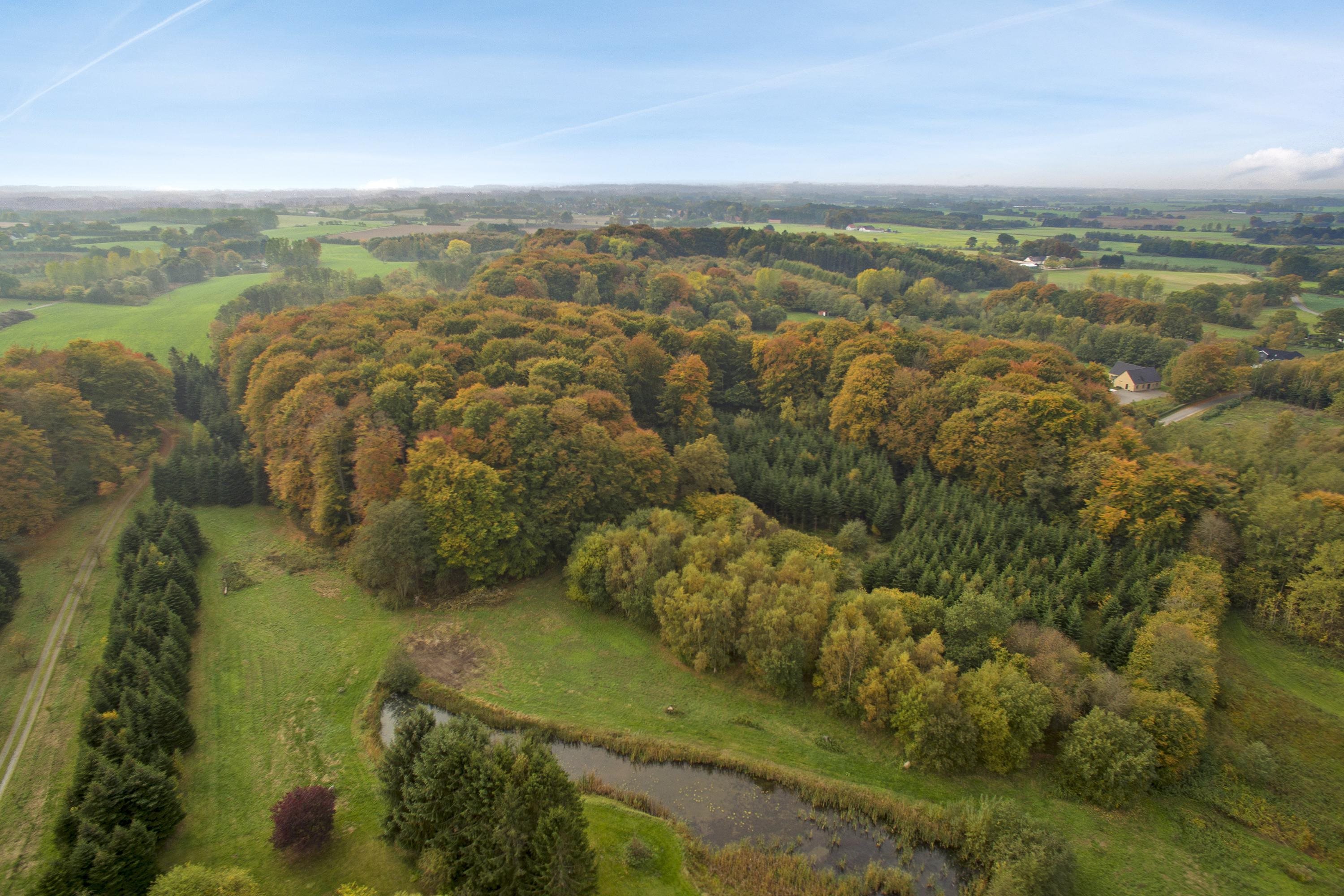 Fremhævet luftfoto billede i fuldskærmstilstand. Billede af Harndrup Skov 23, Harndrupskov, 5463 Harndrup