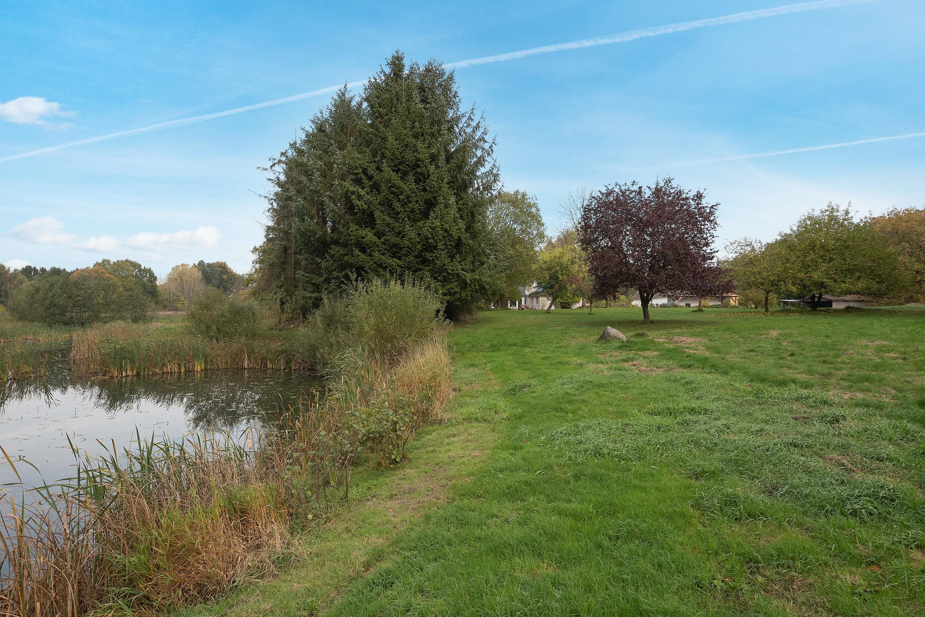 Fremhævet område billede i fuldskærmstilstand. Billede af Harndrup Skov 23, Harndrupskov, 5463 Harndrup