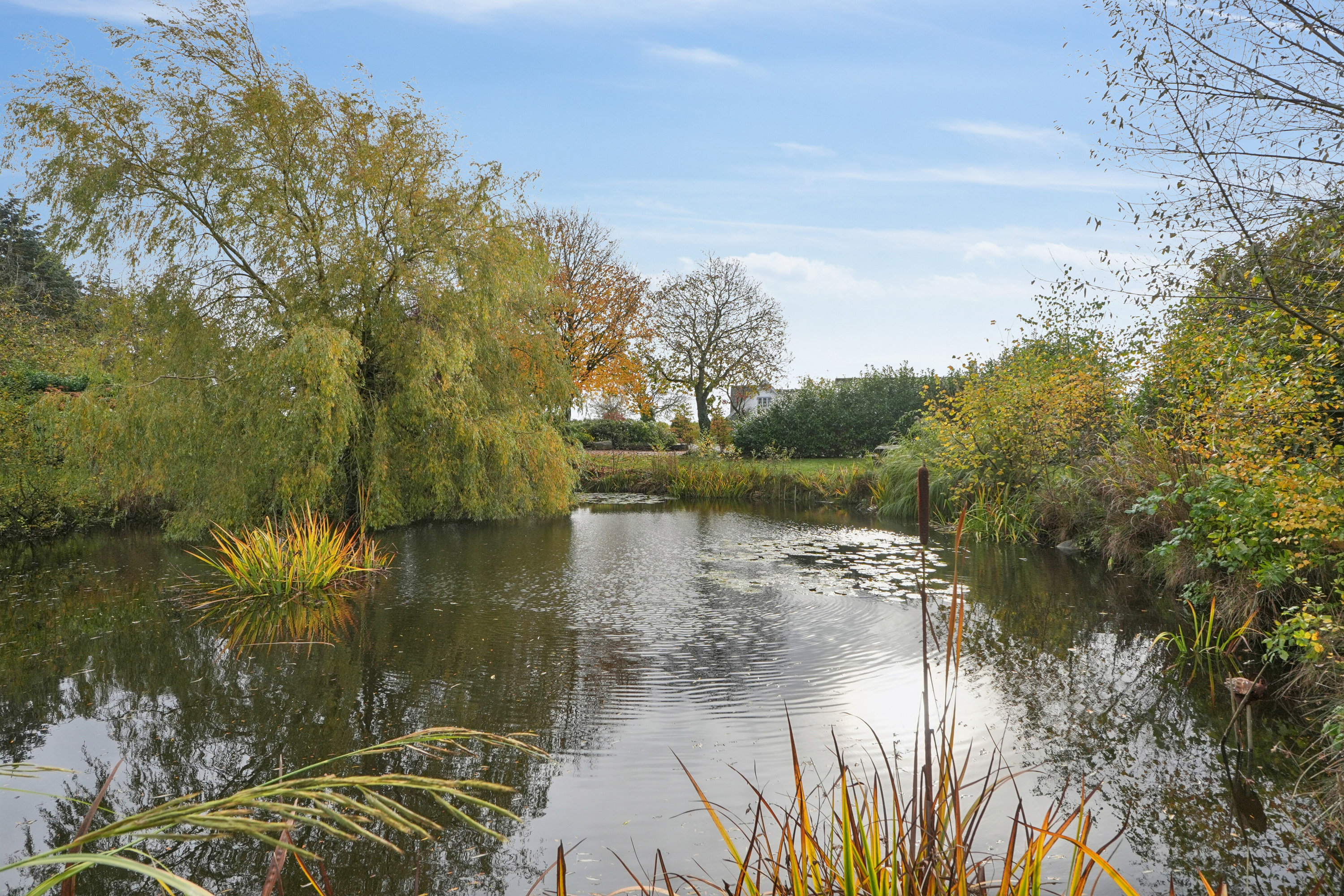 Fremhævet omgivelser billede i fuldskærmstilstand. Billede af Hovedvejen 18, Rynkeby, 5750 Ringe