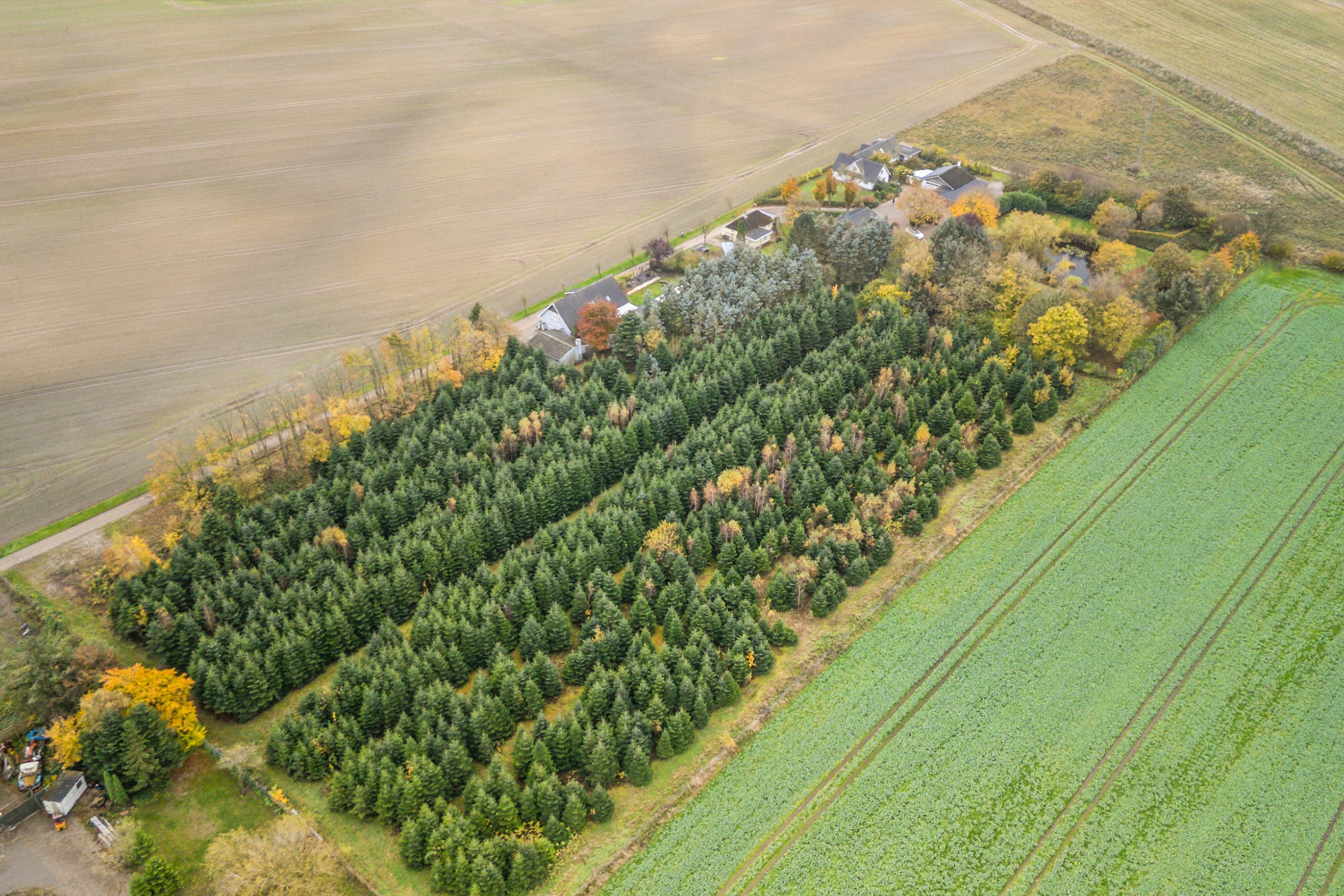 Fremhævet luftfoto billede i fuldskærmstilstand. Billede af Hovedvejen 18, Rynkeby, 5750 Ringe