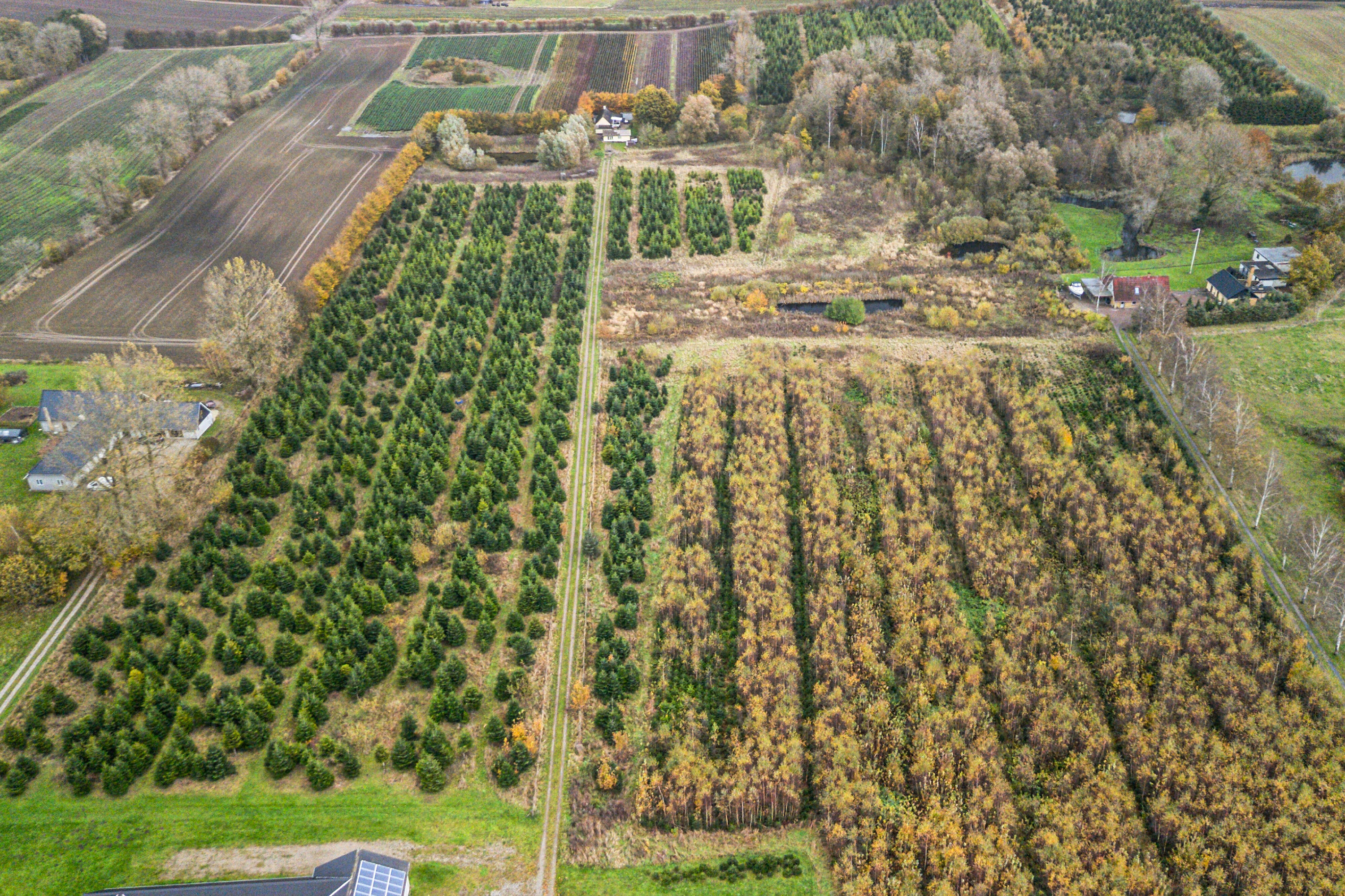 Fremhævet luftfoto billede i fuldskærmstilstand. Billede af Hovedvejen 18, Rynkeby, 5750 Ringe