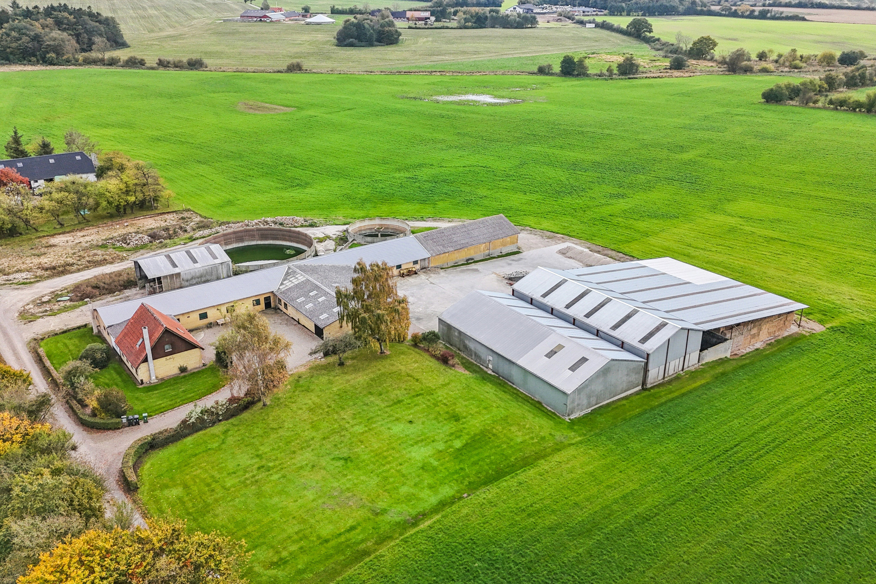 Fremhævet bukgårdsvej 3 billede i fuldskærmstilstand. Billede af Stævningen 1, Egeskov, 5750 Ringe