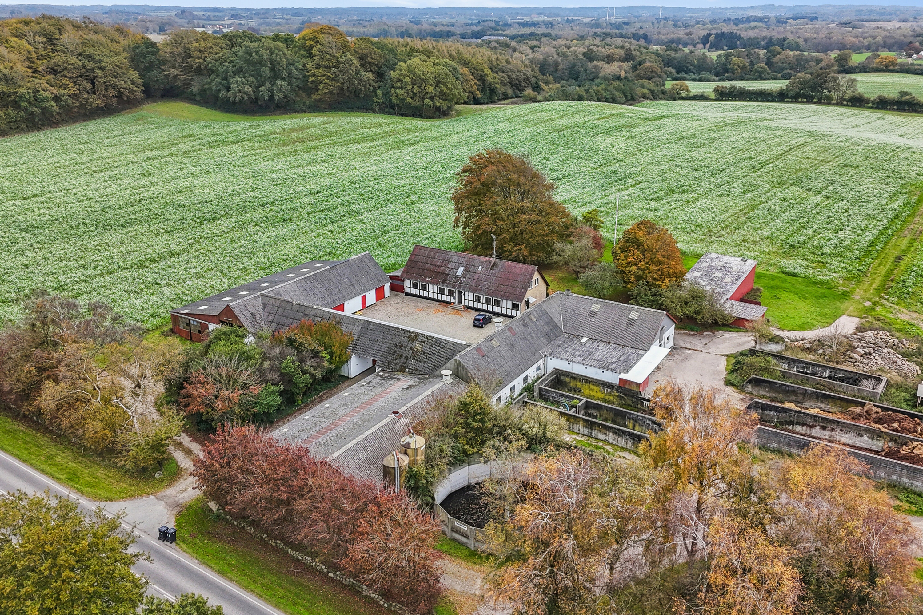 Fremhævet bøjdenvejen 42 billede i fuldskærmstilstand. Billede af Stævningen 1, Egeskov, 5750 Ringe