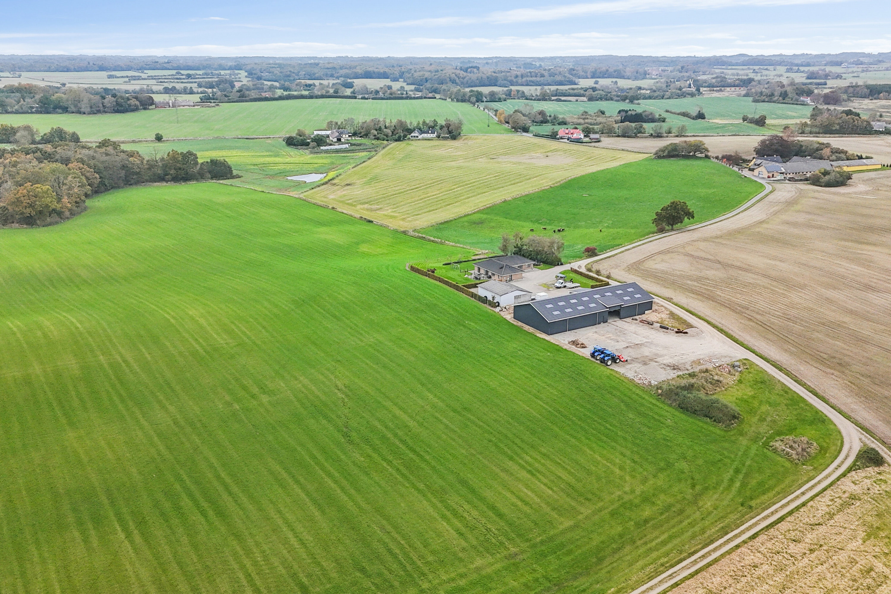 Miniaturebillede 2: luftfoto. Billede af Stævningen 1, Egeskov, 5750 Ringe