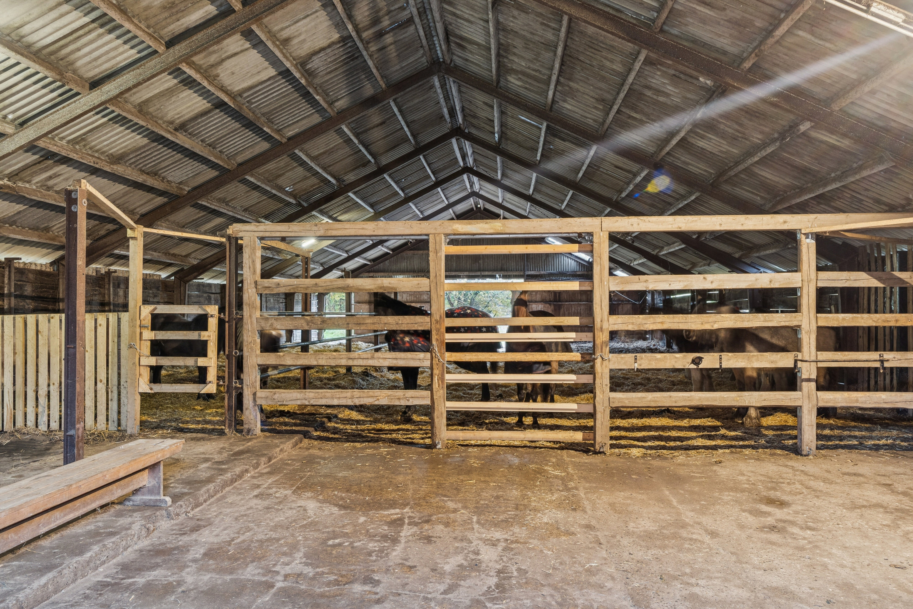 Fremhævet stald billede i fuldskærmstilstand. Billede af Højstrupvej 24, 9750 Østervrå