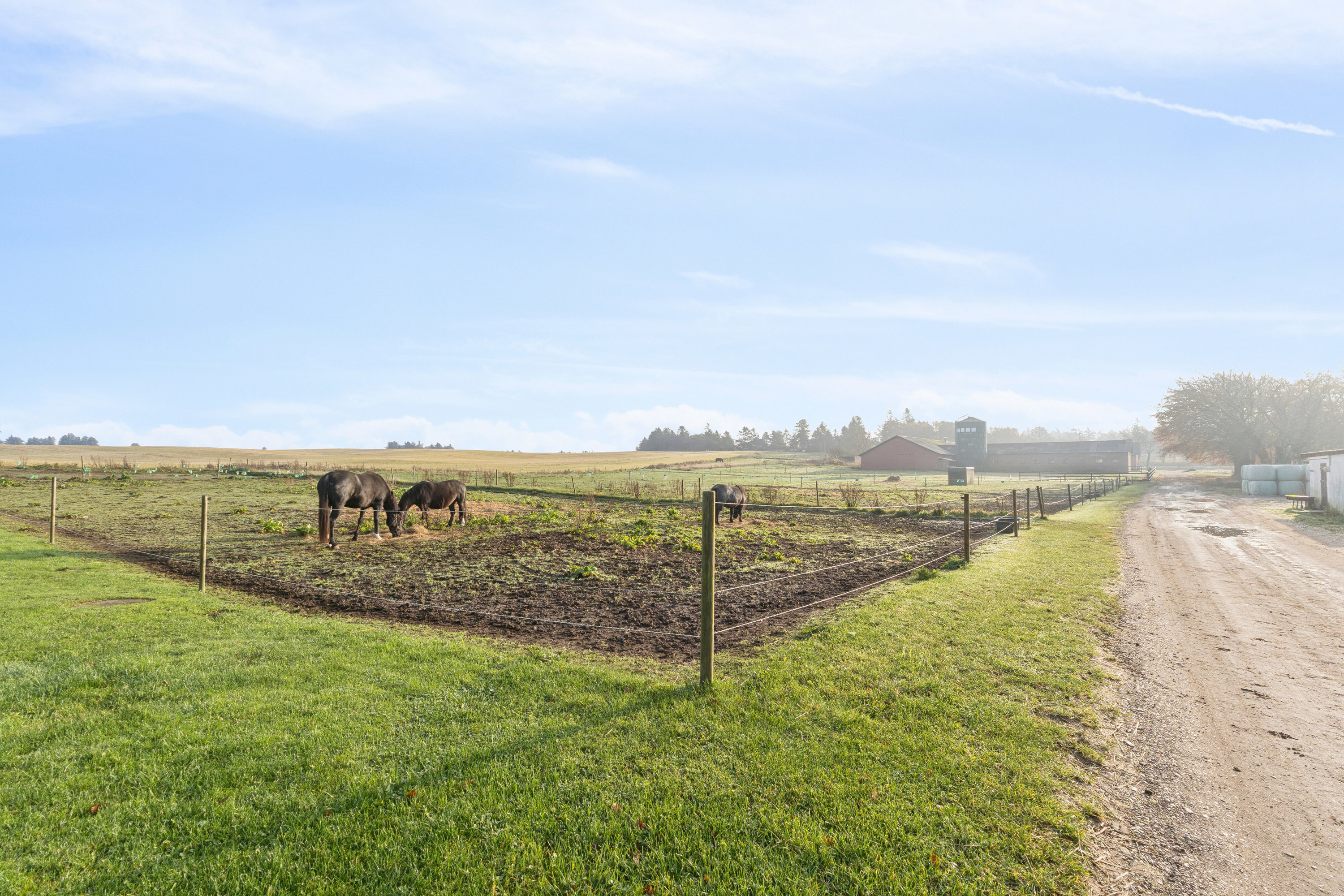 Fremhævet udendørs billede i fuldskærmstilstand. Billede af Højstrupvej 24, 9750 Østervrå