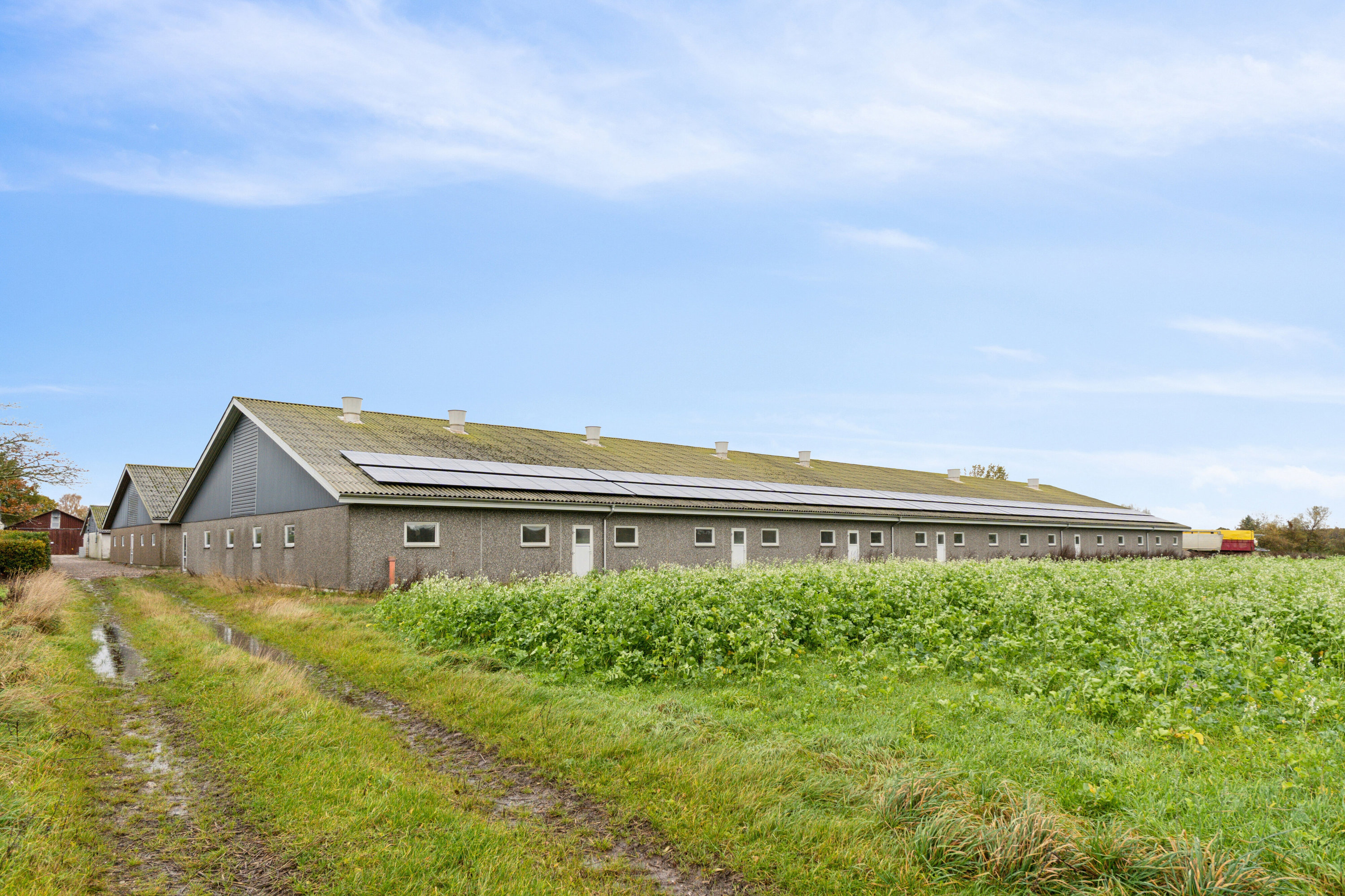 Fremhævet set fra haven billede i fuldskærmstilstand. Billede af Åvej 6, 5550 Langeskov