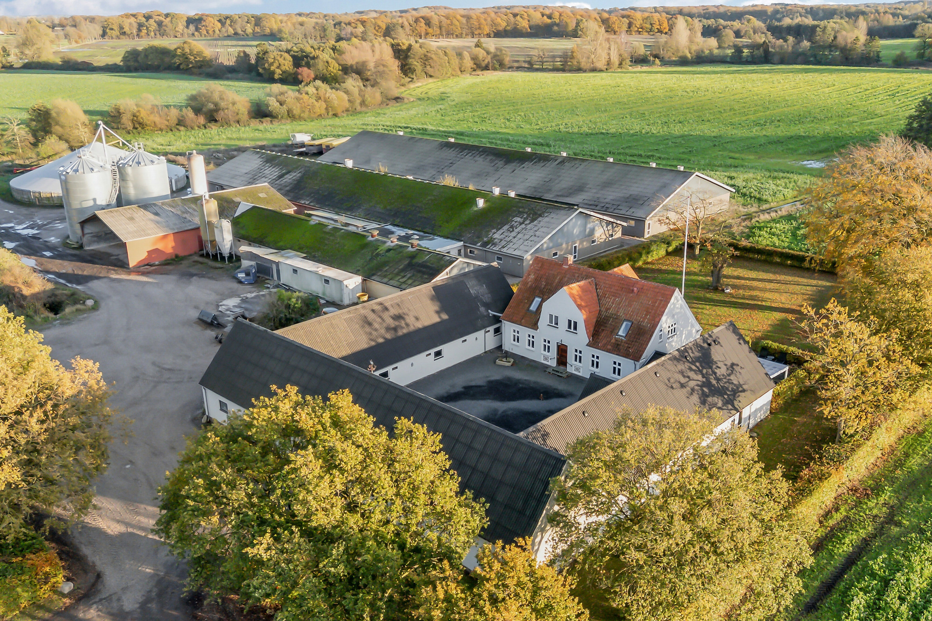 Fremhævet luftfoto billede i fuldskærmstilstand. Billede af Åvej 6, 5550 Langeskov