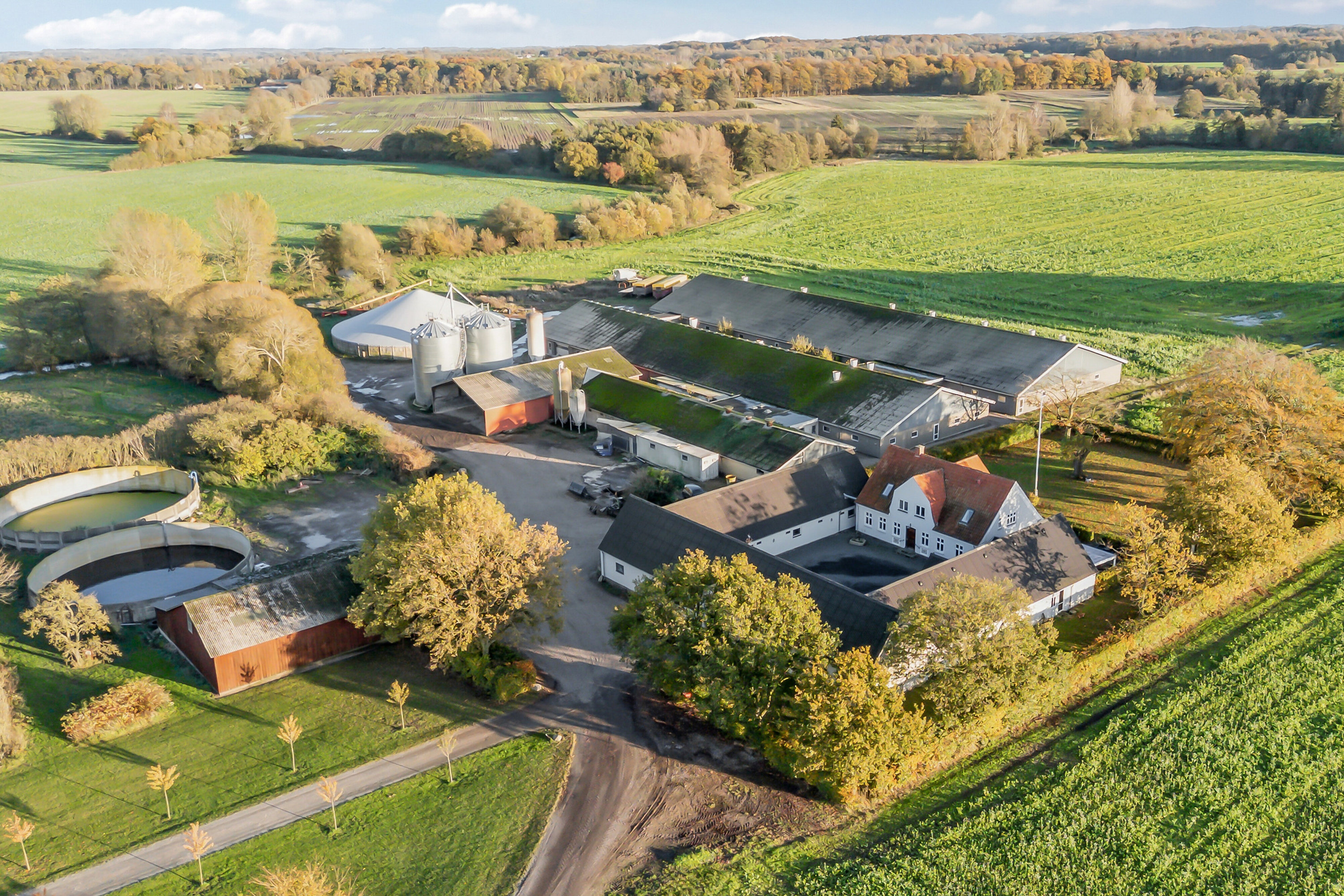 Fremhævet luftfoto billede i fuldskærmstilstand. Billede af Åvej 6, 5550 Langeskov