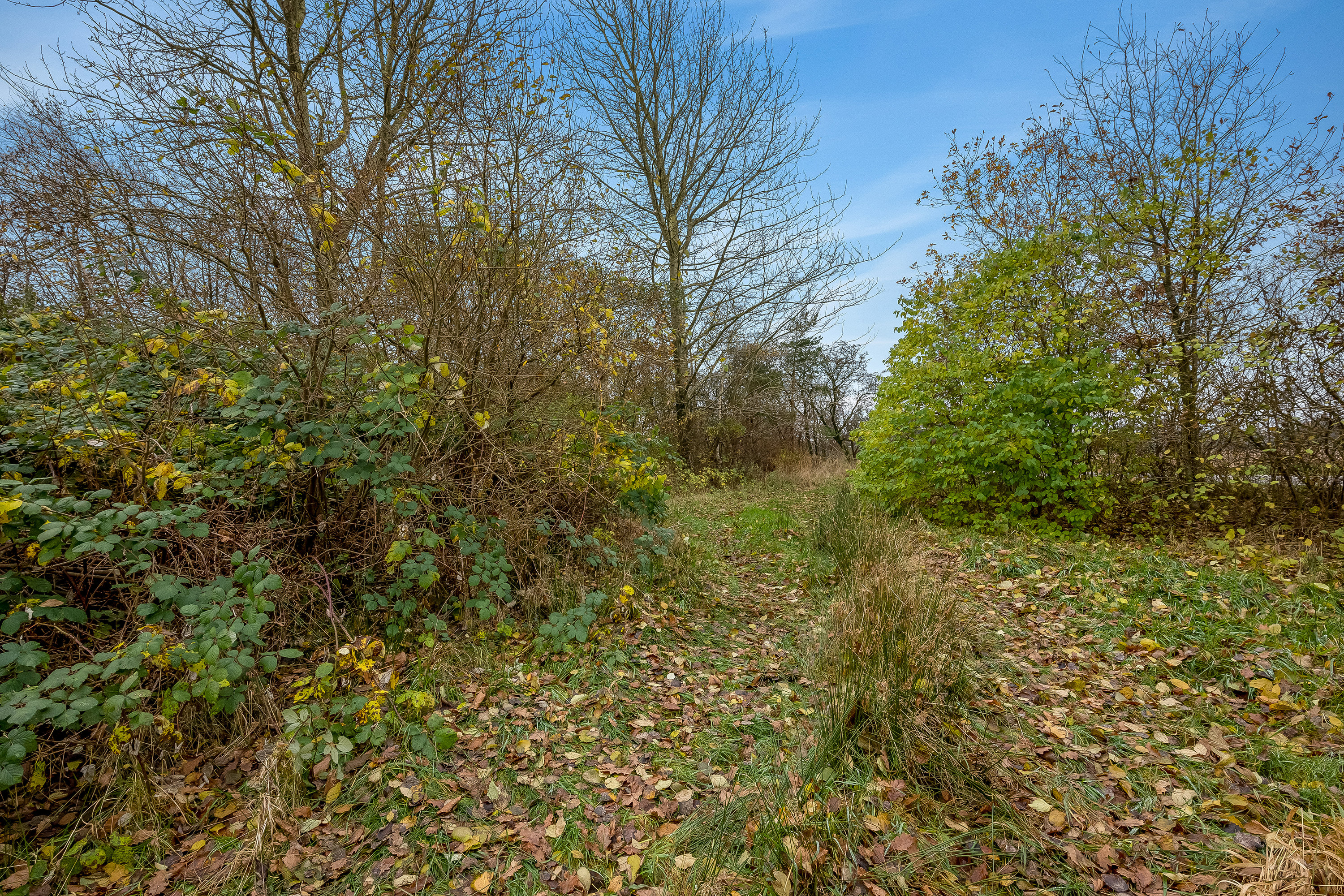Fremhævet område billede i fuldskærmstilstand. Billede af Skjernvej 211, Agerfeld, 7500 Holstebro