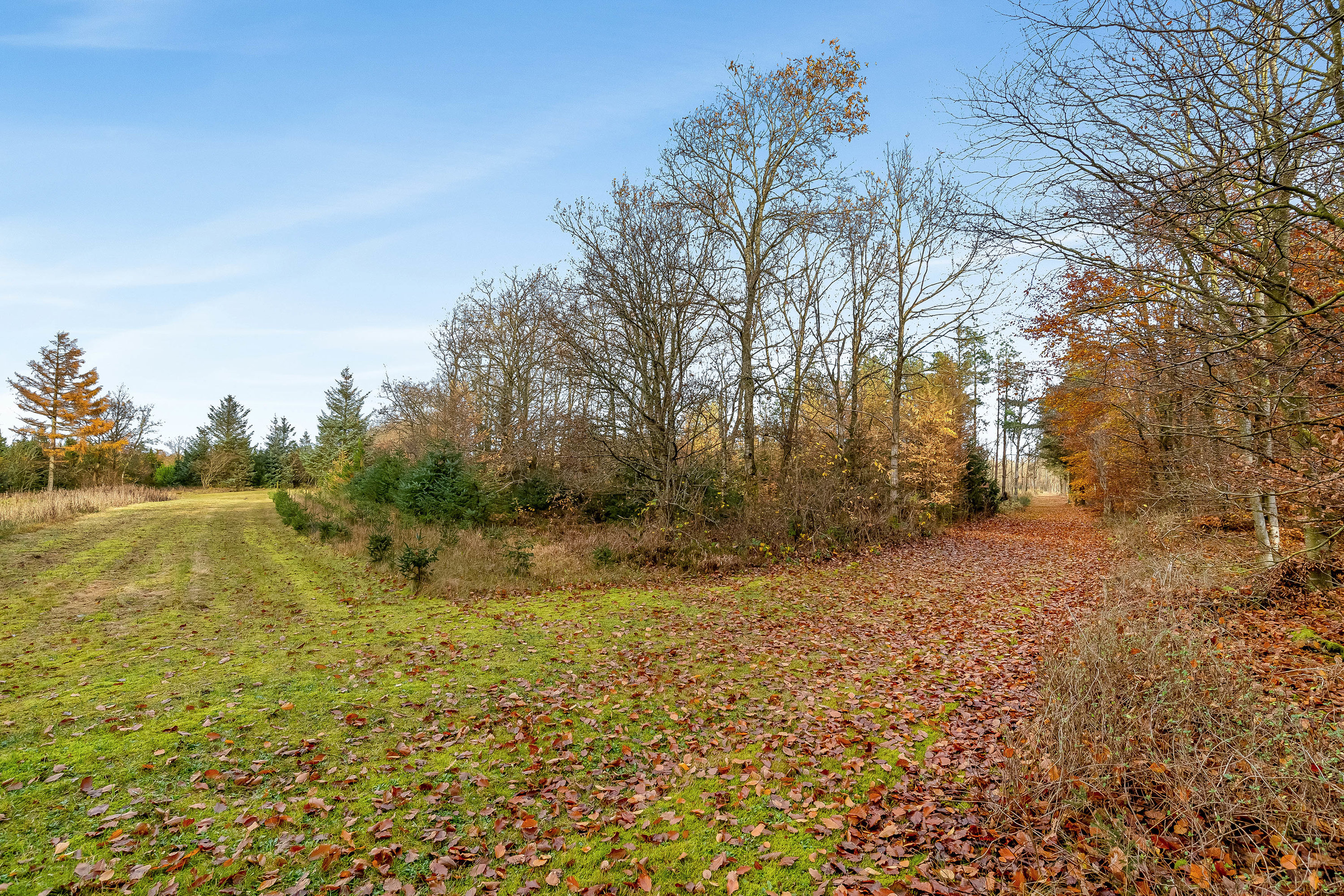 Fremhævet jordtilliggende billede i fuldskærmstilstand. Billede af Meldmosevej 5, Møborg, 7660 Bækmarksbro
