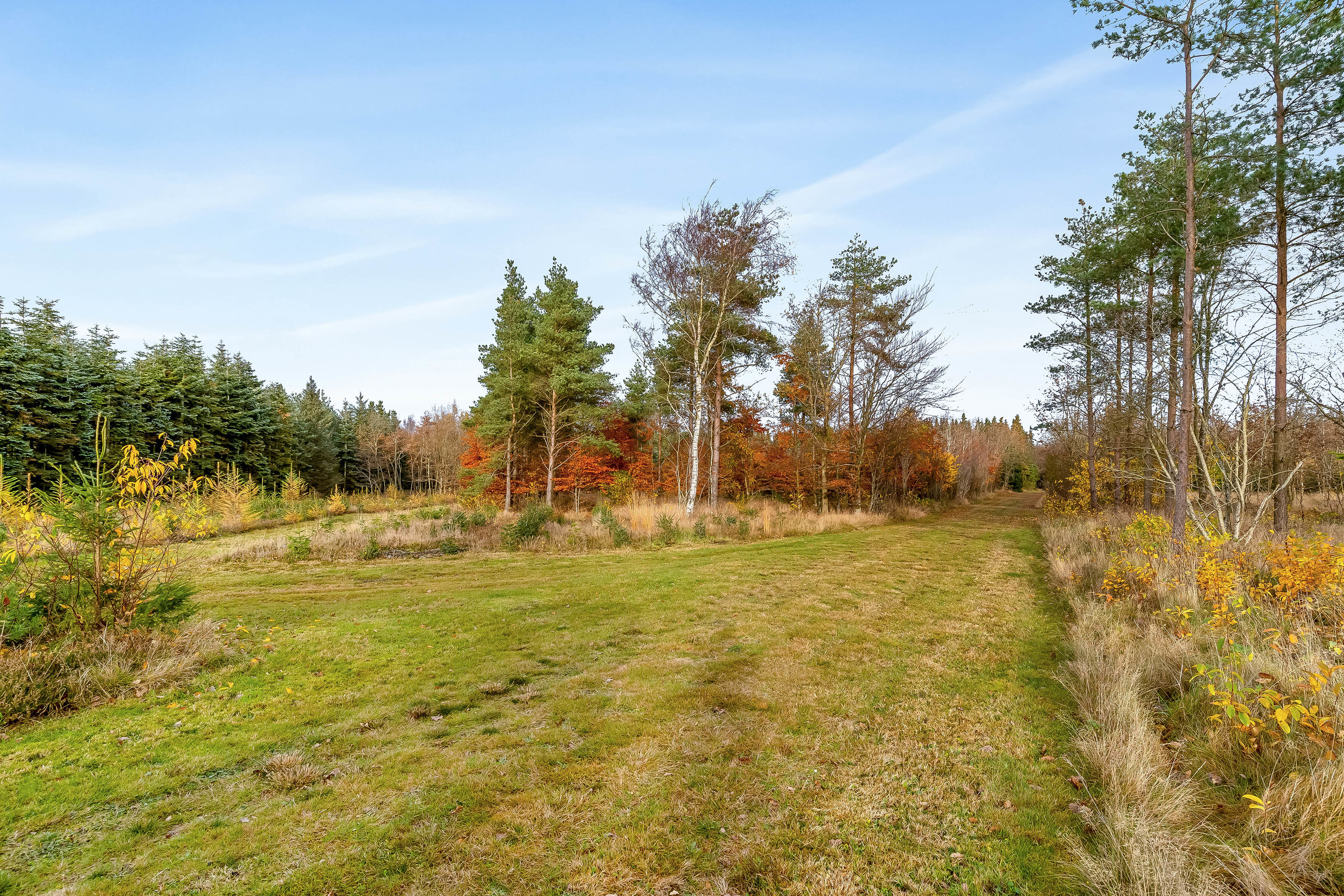 Fremhævet jordtilliggende billede i fuldskærmstilstand. Billede af Meldmosevej 5, Møborg, 7660 Bækmarksbro