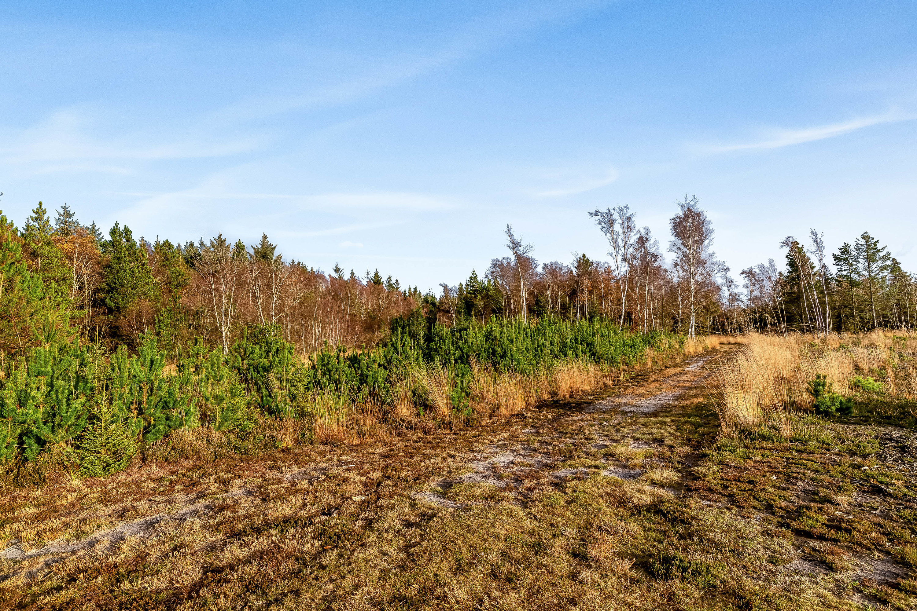 Fremhævet jordtilliggende billede i fuldskærmstilstand. Billede af Meldmosevej 5, Møborg, 7660 Bækmarksbro