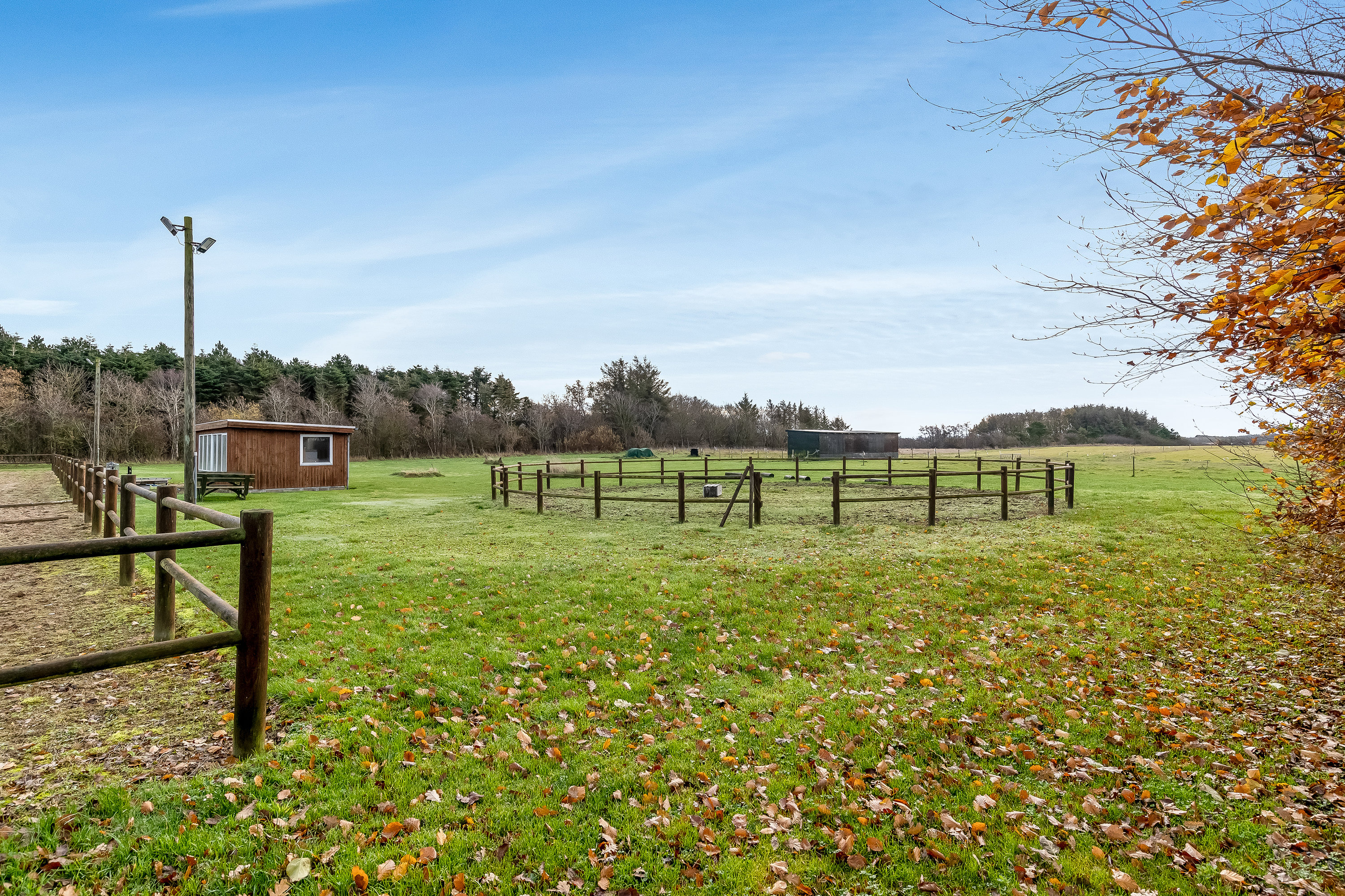 Fremhævet ridebane billede i fuldskærmstilstand. Billede af Ålskovvej 25, Ålskov, 7830 Vinderup