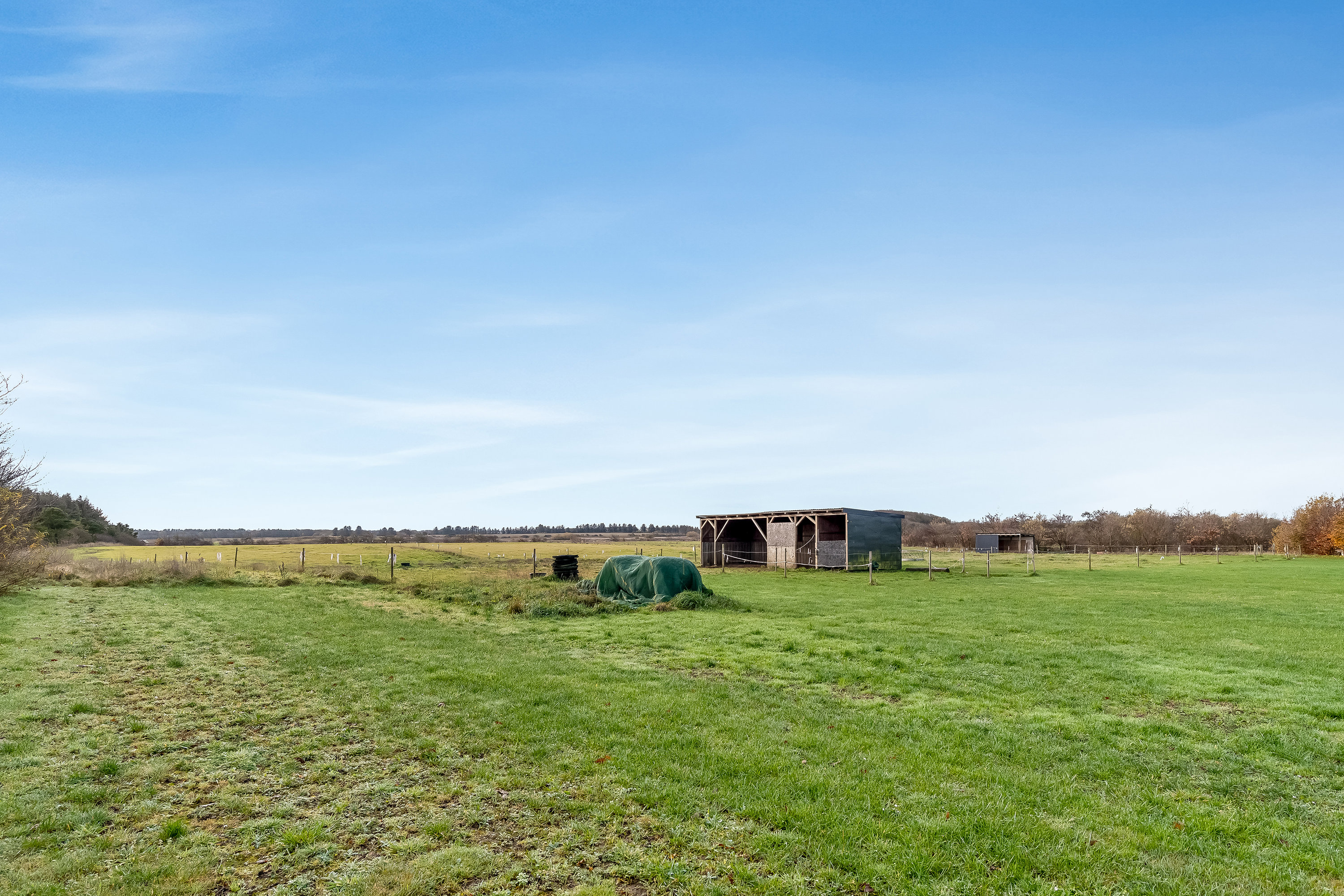 Fremhævet hestefold billede i fuldskærmstilstand. Billede af Ålskovvej 25, Ålskov, 7830 Vinderup