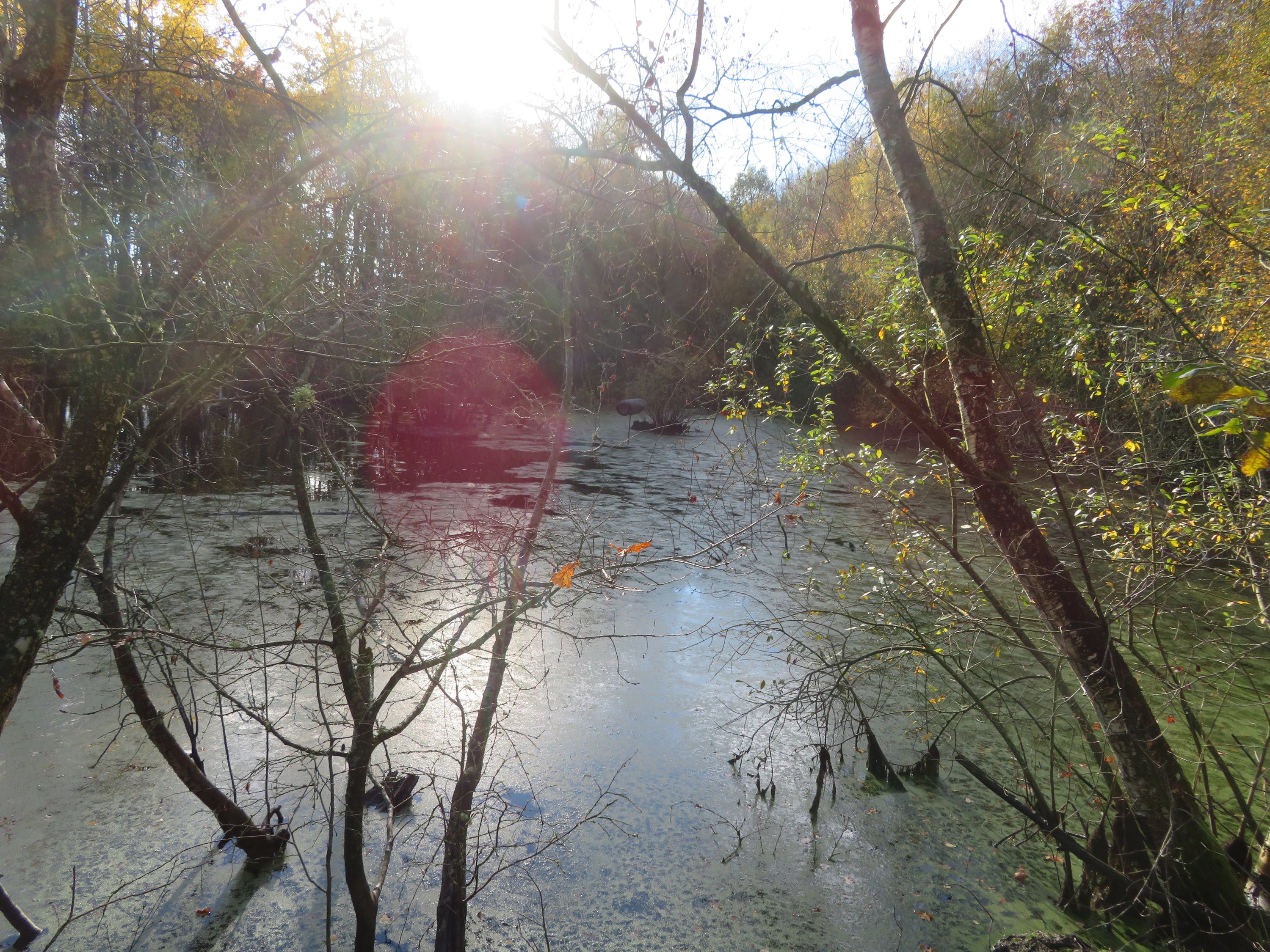 Fremhævet  billede i fuldskærmstilstand. Billede af Ørumvej 2, 8940 Randers SV