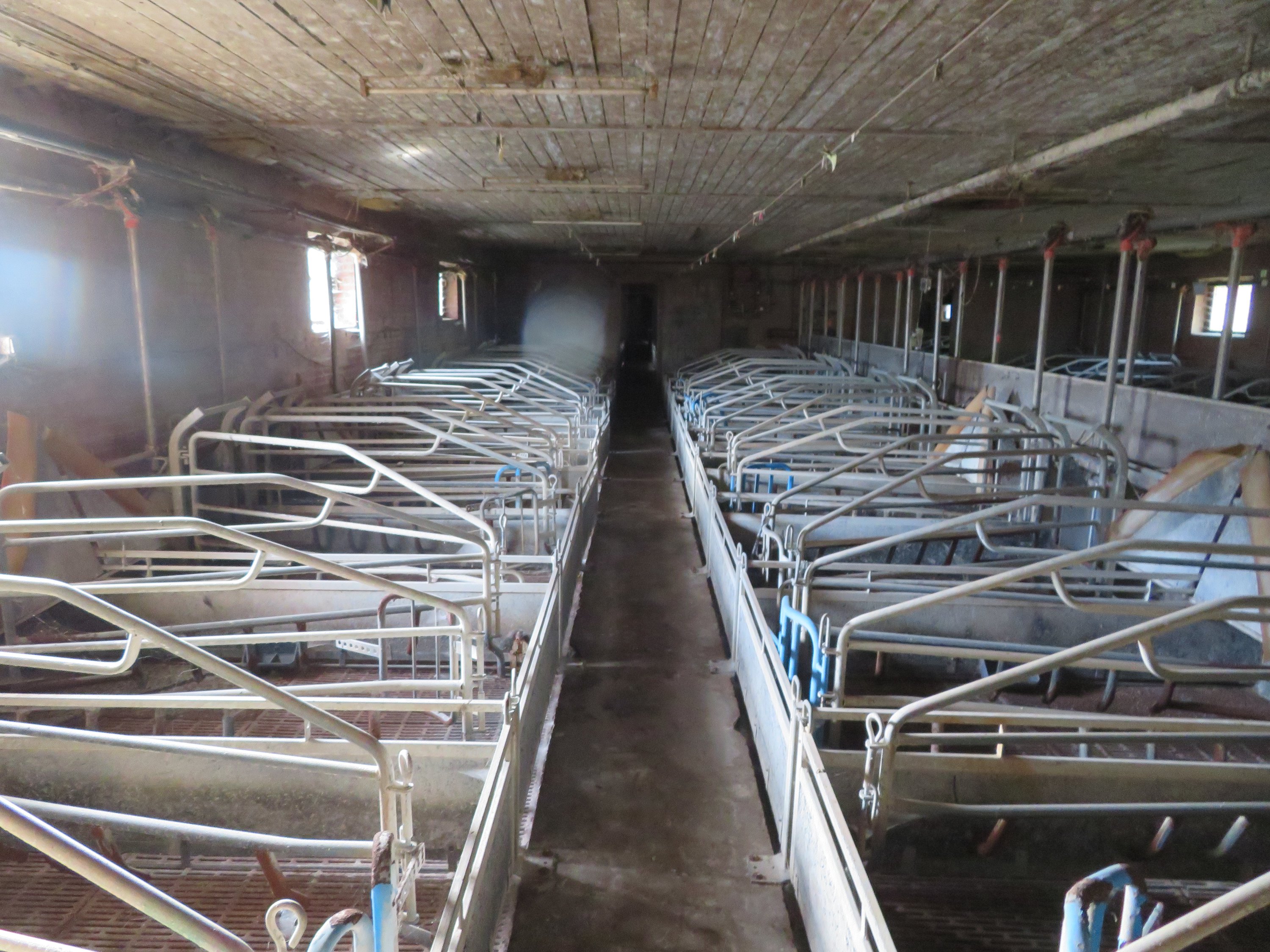 Fremhævet  billede i fuldskærmstilstand. Billede af Erslevvej 60, Erslev, 8370 Hadsten