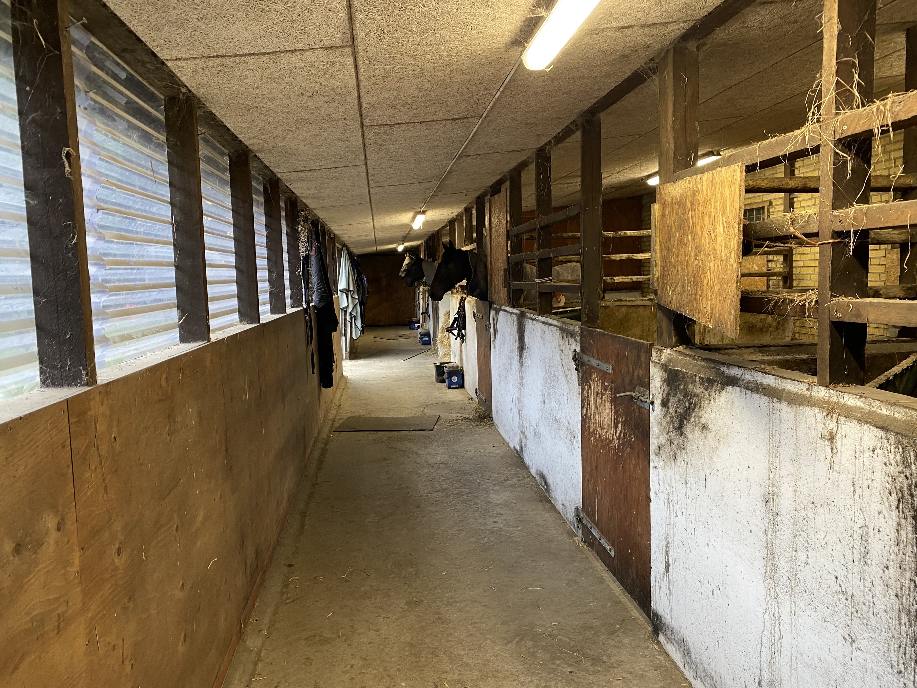 Fremhævet stald billede i fuldskærmstilstand. Billede af Harndrup Skov 23, Harndrupskov, 5463 Harndrup