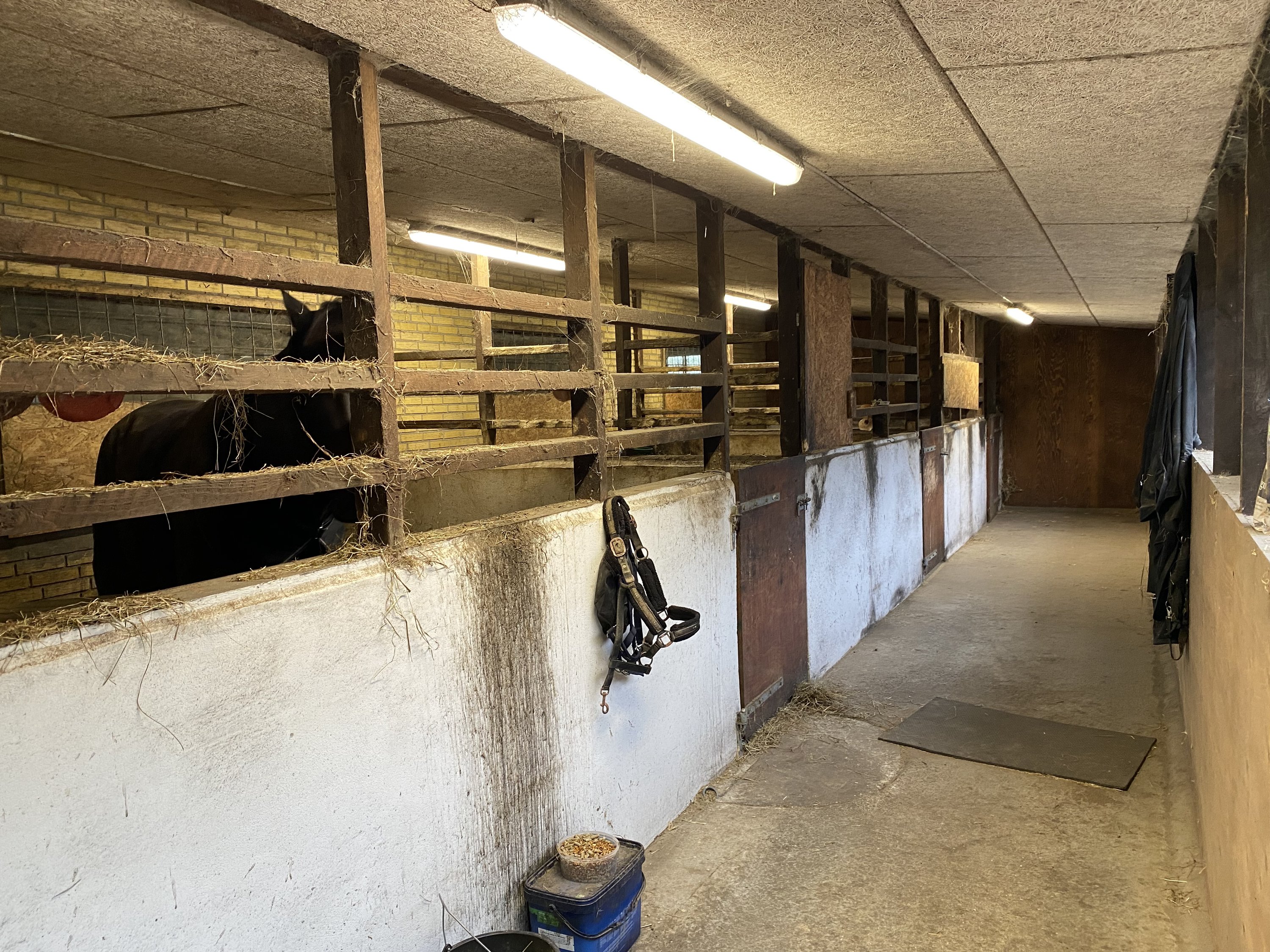 Fremhævet stald billede i fuldskærmstilstand. Billede af Harndrup Skov 23, Harndrupskov, 5463 Harndrup