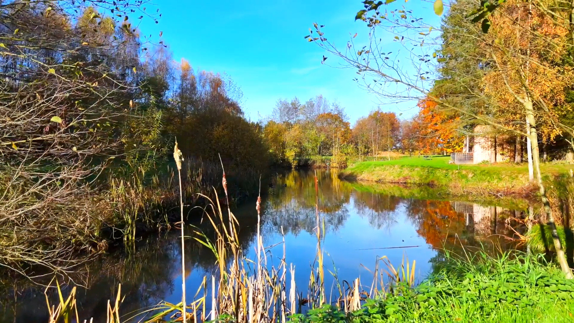 Fremhævet område billede i fuldskærmstilstand. Billede af Harndrup Skov 23, Harndrupskov, 5463 Harndrup