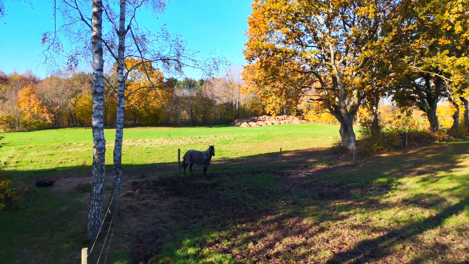Fremhævet område billede i fuldskærmstilstand. Billede af Harndrup Skov 23, Harndrupskov, 5463 Harndrup