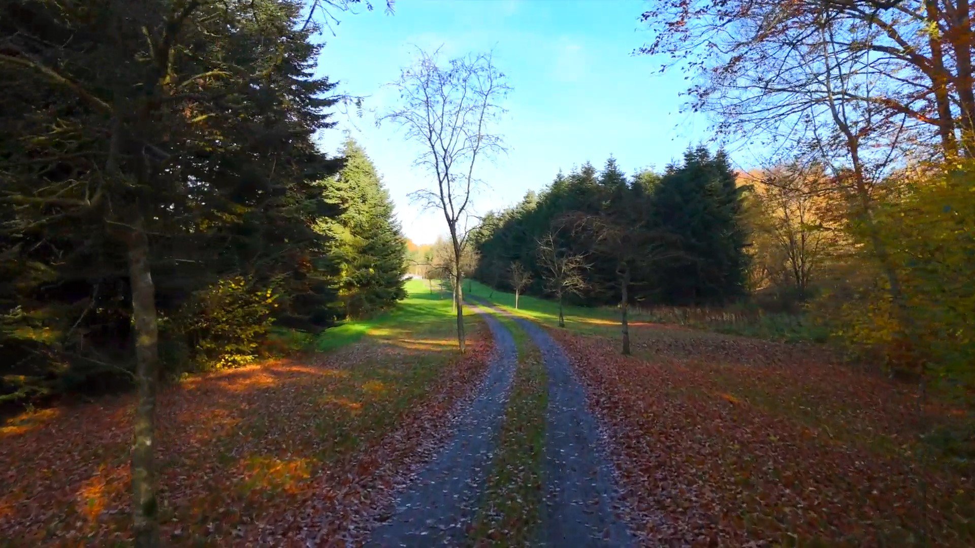 Fremhævet område billede i fuldskærmstilstand. Billede af Harndrup Skov 23, Harndrupskov, 5463 Harndrup