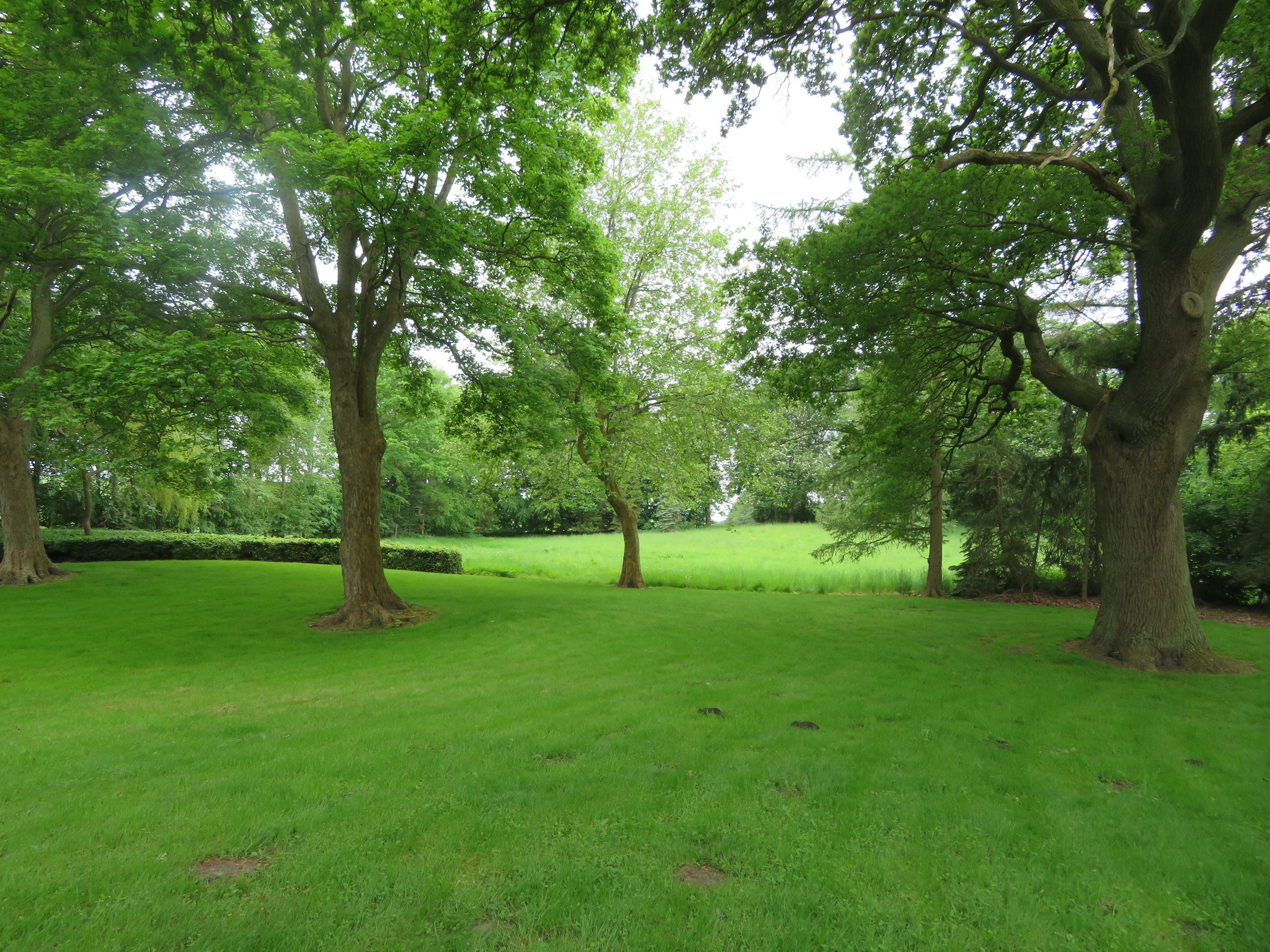 Fremhævet  billede i fuldskærmstilstand. Billede af Quelstrupvej 1, 8420 Knebel