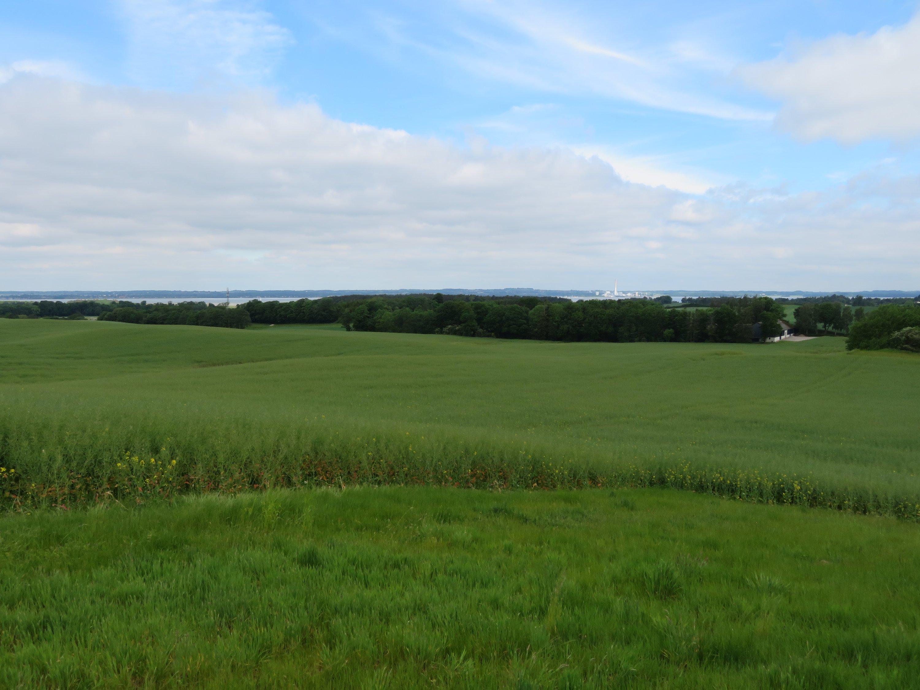 Fremhævet  billede i fuldskærmstilstand. Billede af Quelstrupvej 1, 8420 Knebel