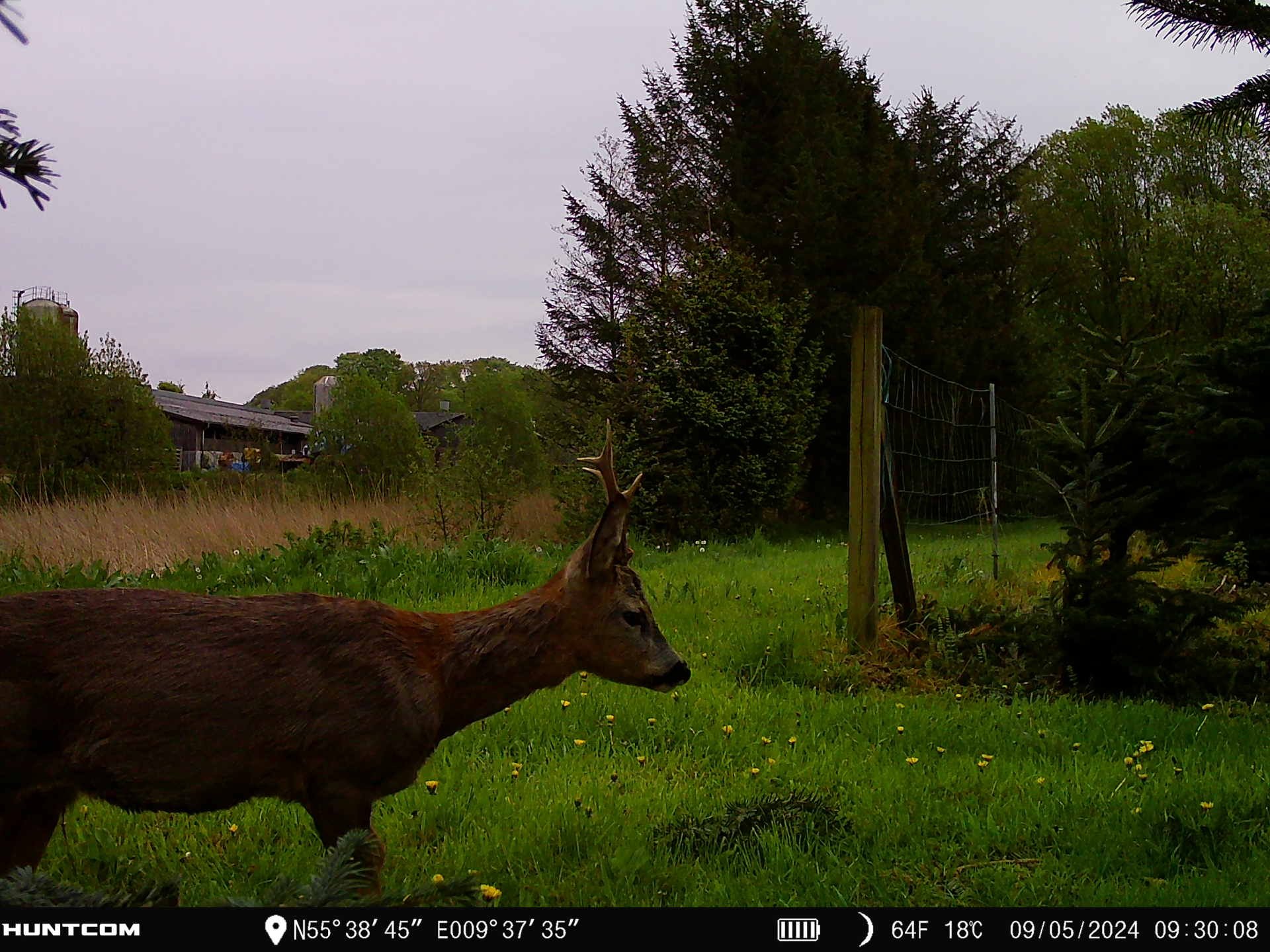 Fremhævet  billede i fuldskærmstilstand. Billede af Brandtlundvej 102, Skærup, 7080 Børkop