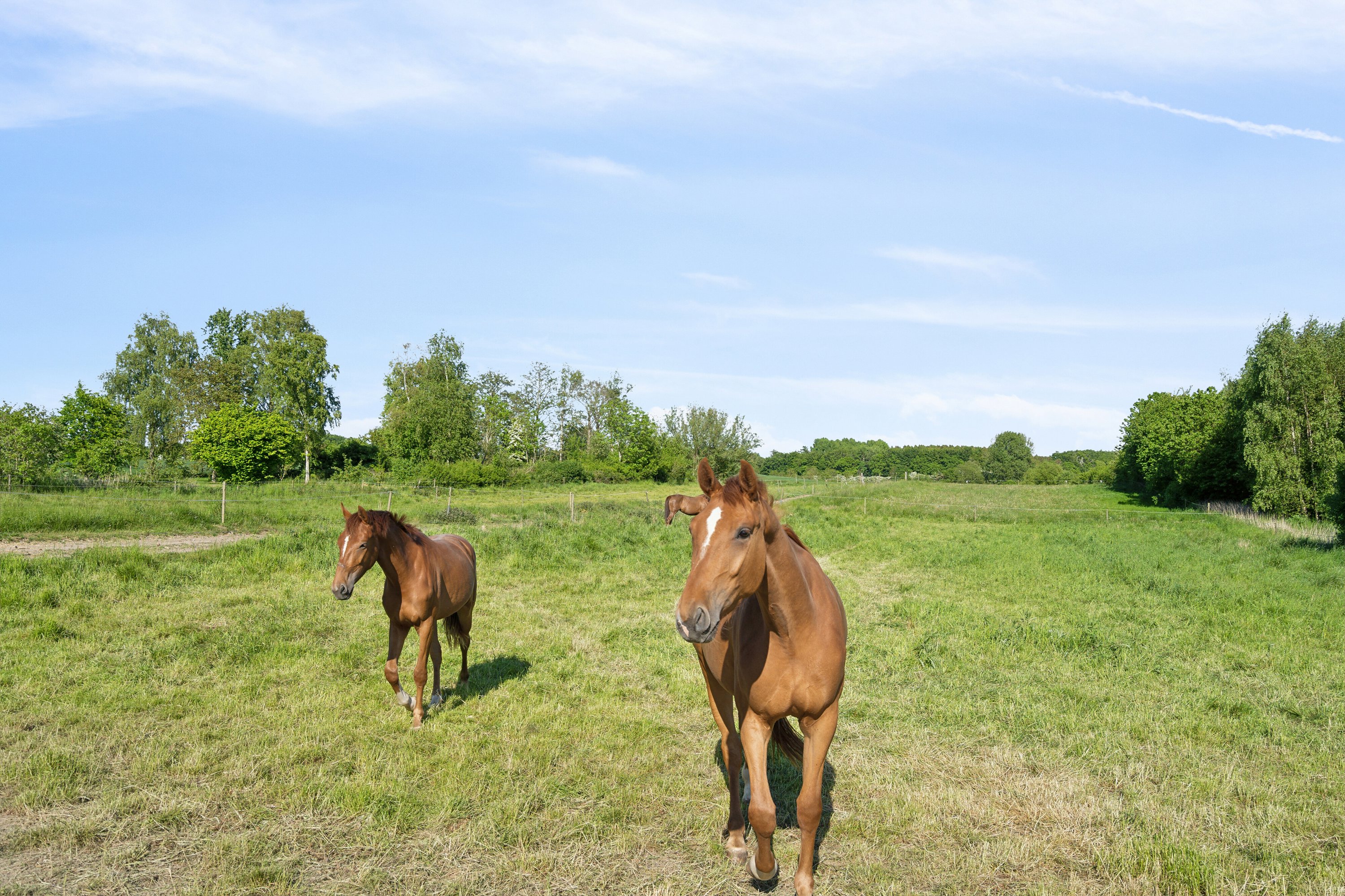 Sølvbjergvej 2 (en del heraf), Pejrup, 5600 Faaborg