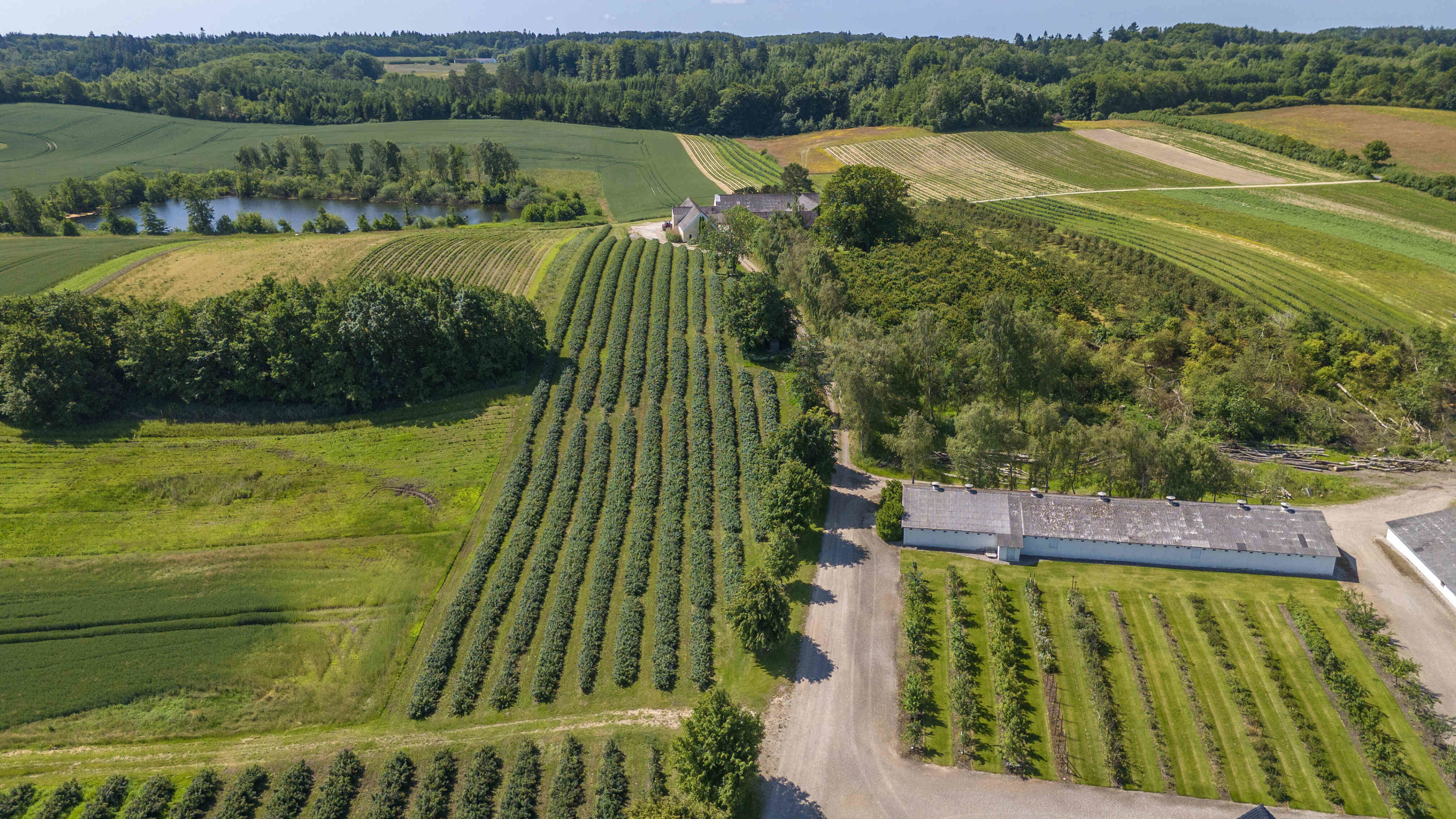 Fremhævet  billede i fuldskærmstilstand. Billede af Jordløsevej 21 og 23, V Hæsinge, 5672 Broby