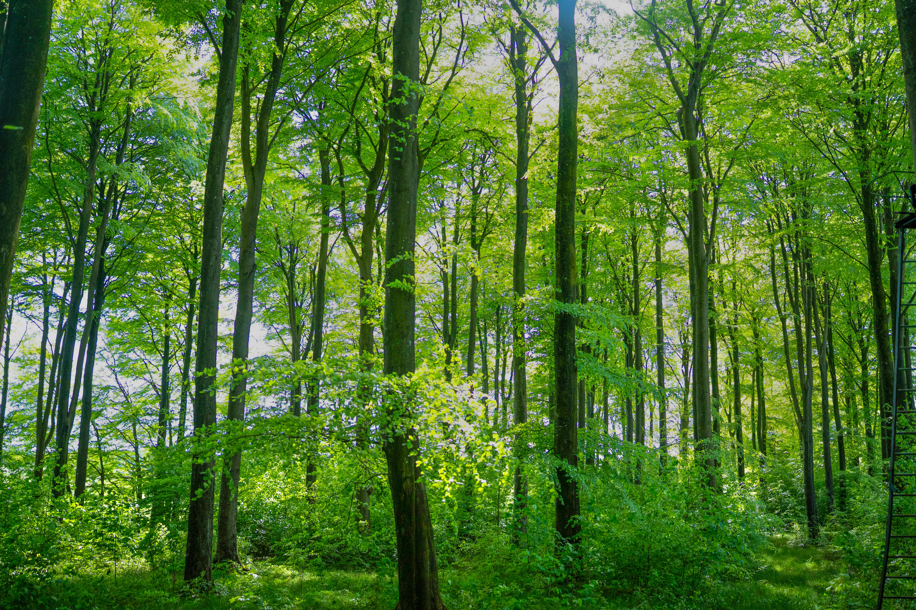 Fremhævet  billede i fuldskærmstilstand. Billede af Brandtlundvej 102, Skærup, 7080 Børkop