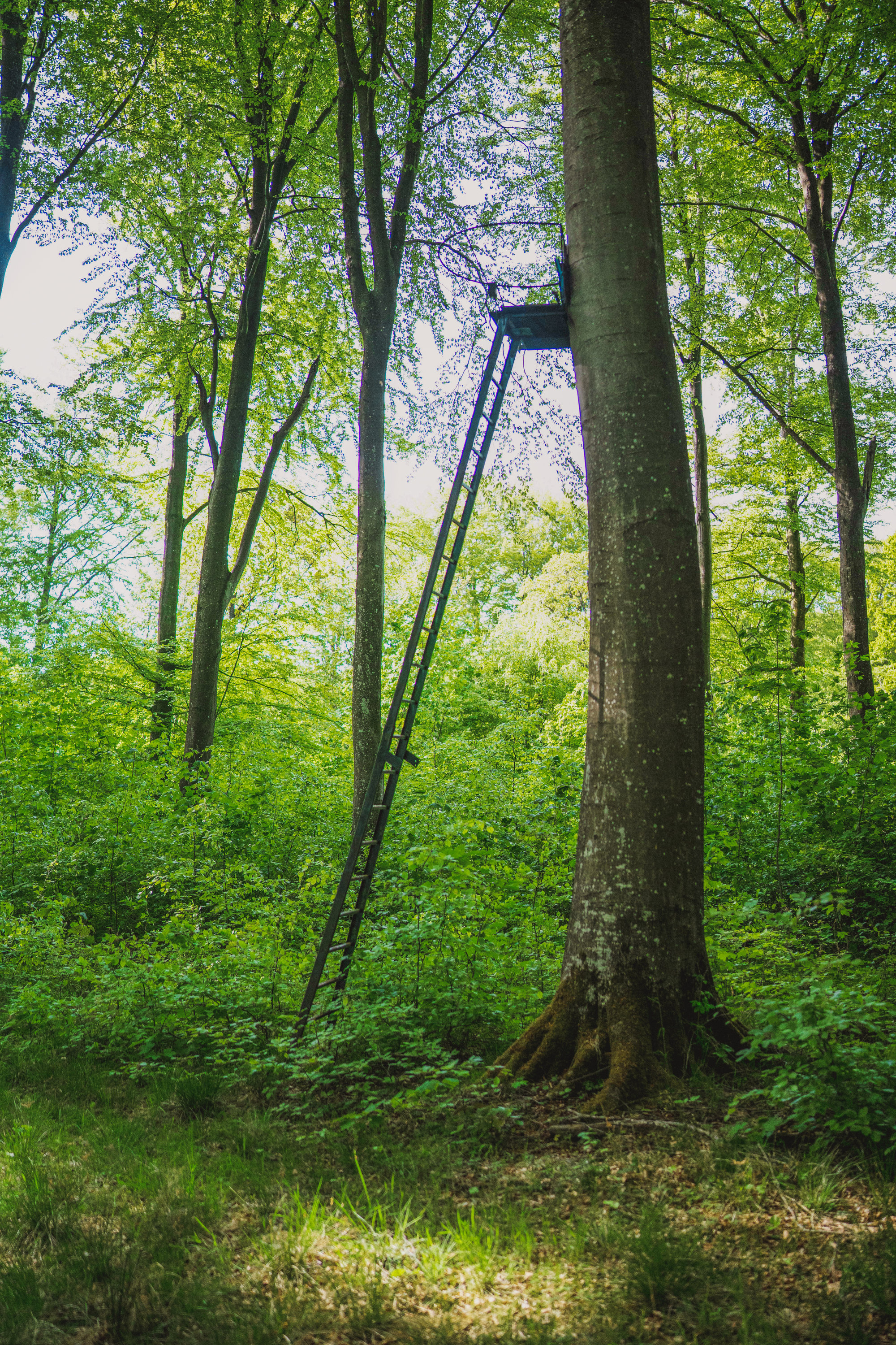 Fremhævet  billede i fuldskærmstilstand. Billede af Brandtlundvej 102, Skærup, 7080 Børkop