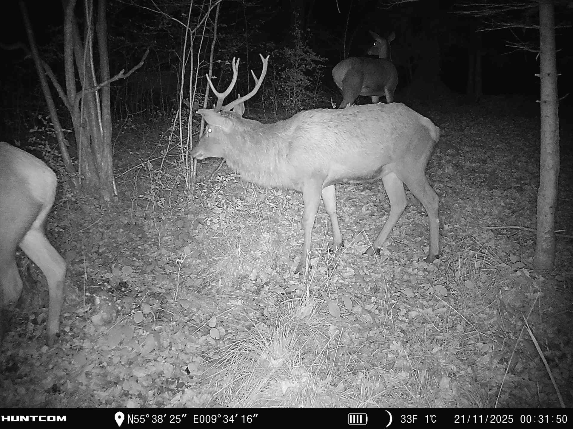 Fremhævet  billede i fuldskærmstilstand. Billede af Brandtlundvej 102, Skærup, 7080 Børkop