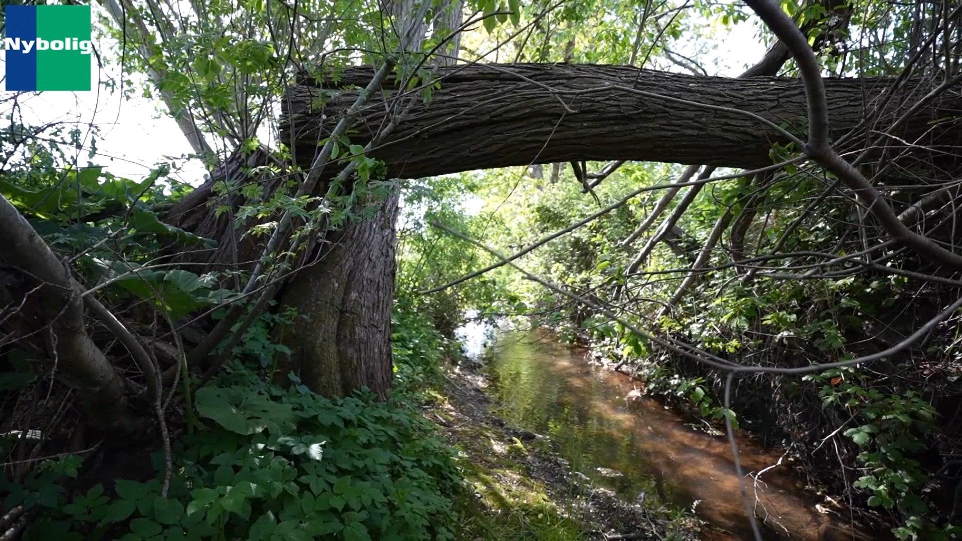 Fremhævet  billede i fuldskærmstilstand. Billede af Brandtlundvej 102, Skærup, 7080 Børkop