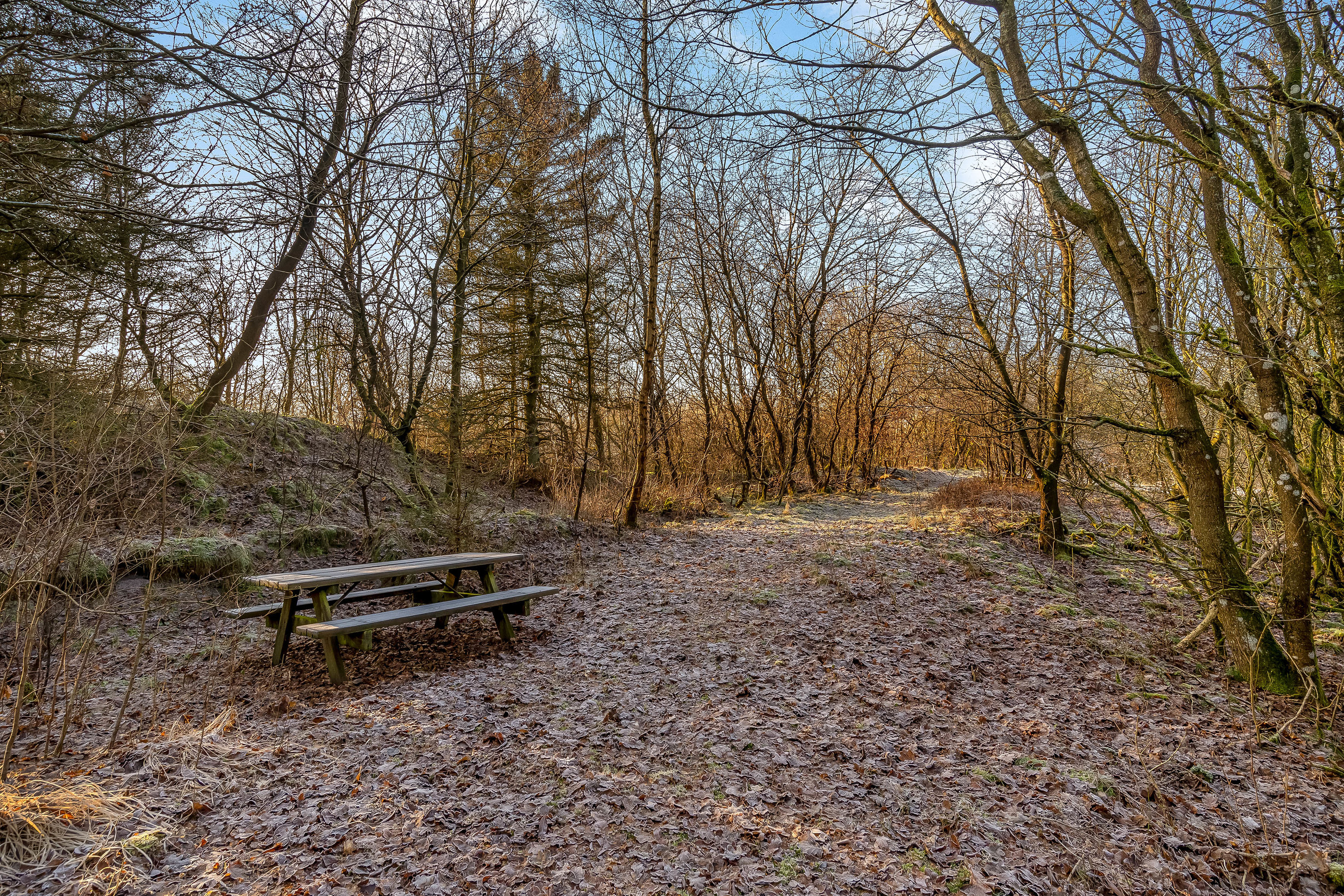 Fremhævet jordtilliggende billede i fuldskærmstilstand. Billede af Gedhusvej 8, Ilskov, 7451 Sunds