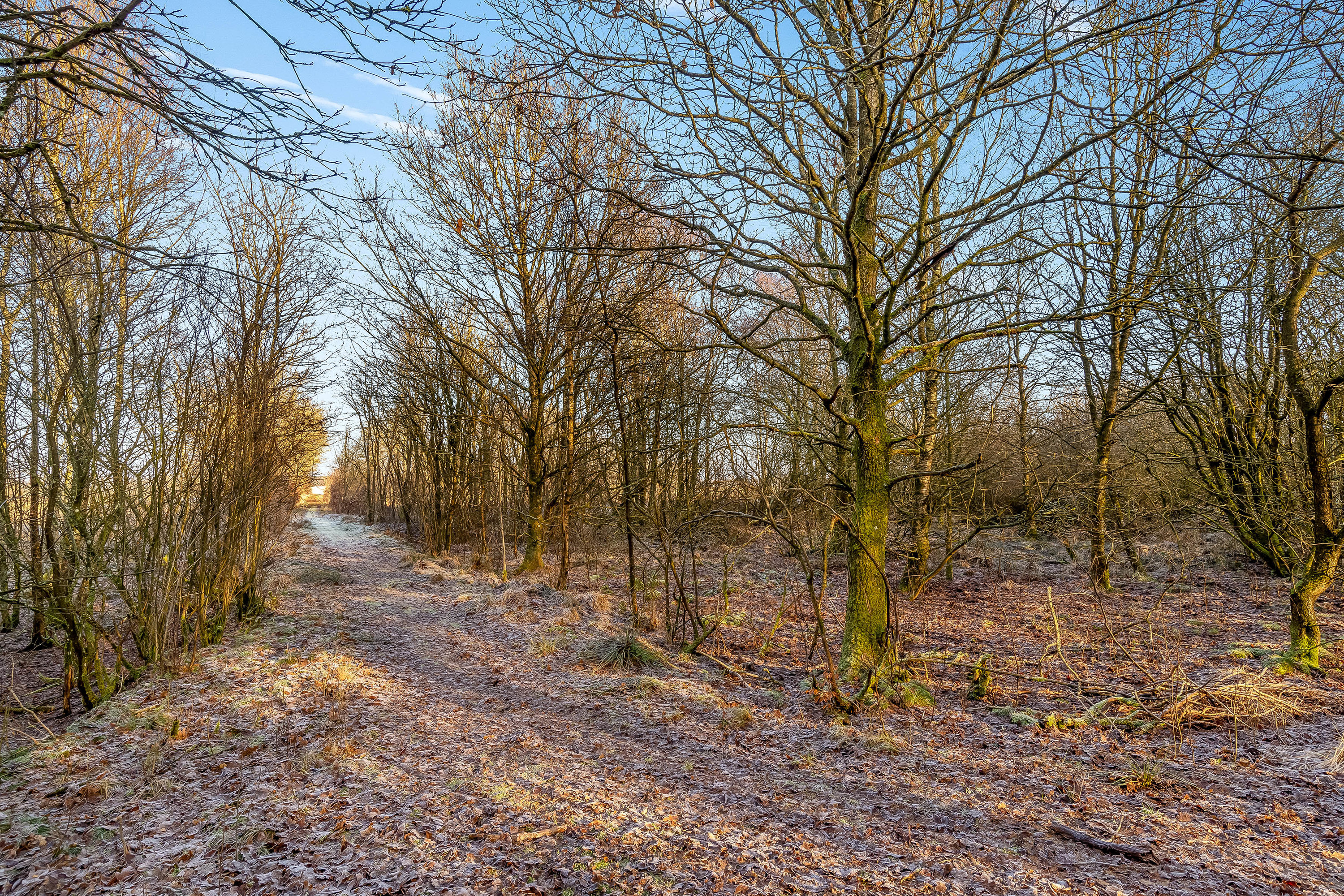 Fremhævet jordtilliggende billede i fuldskærmstilstand. Billede af Gedhusvej 8, Ilskov, 7451 Sunds