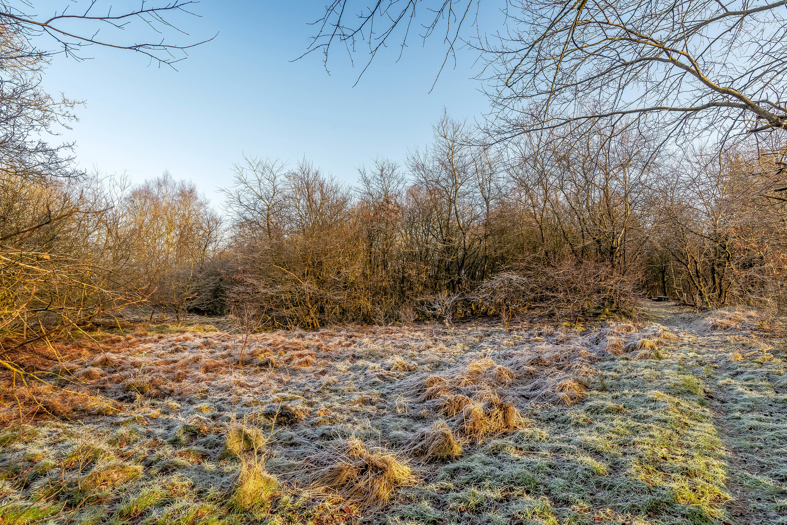 Fremhævet jordtilliggende billede i fuldskærmstilstand. Billede af Gedhusvej 8, Ilskov, 7451 Sunds