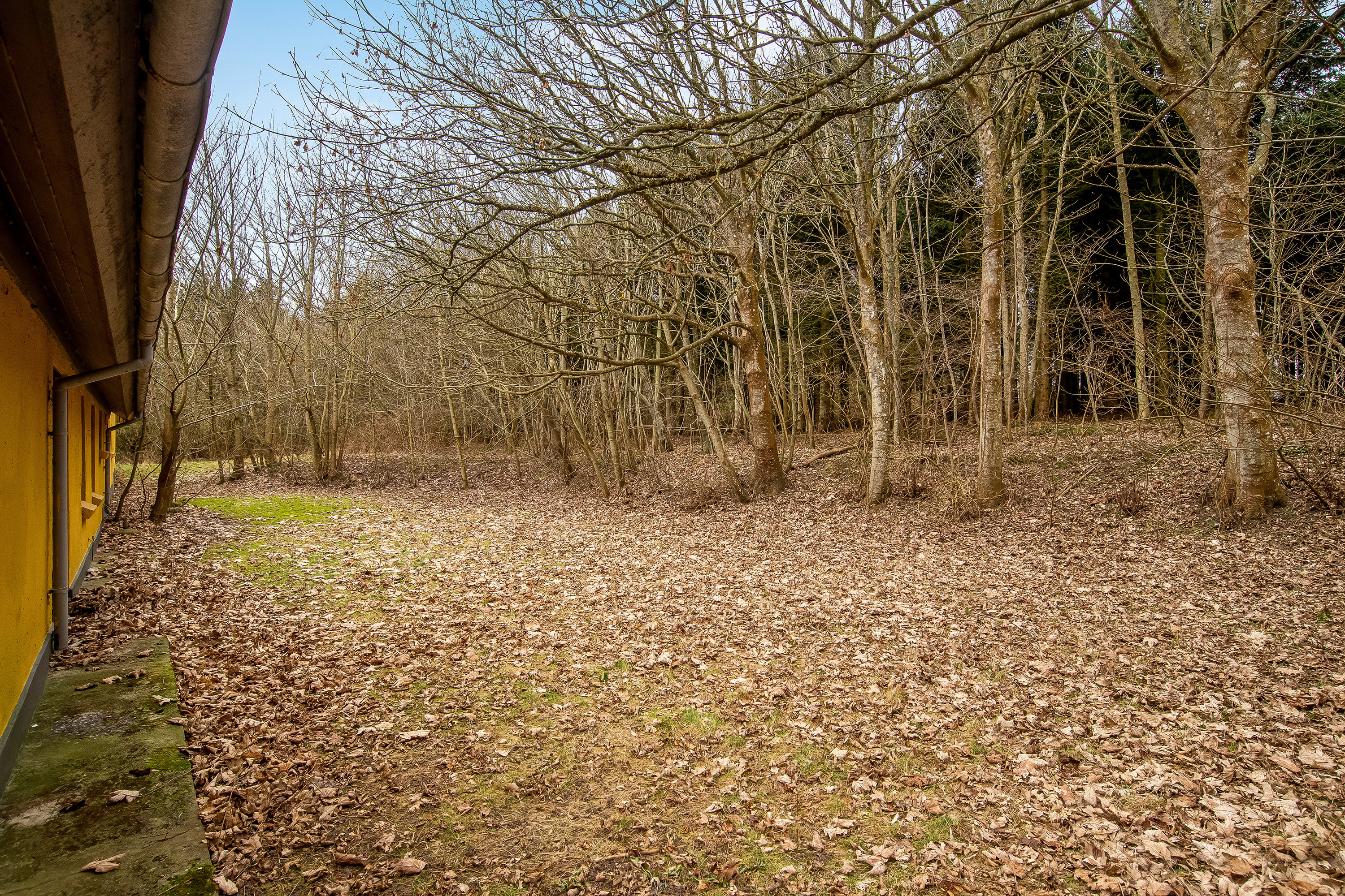 Fremhævet have billede i fuldskærmstilstand. Billede af Følhøjvej 10, Odby, 7790 Thyholm