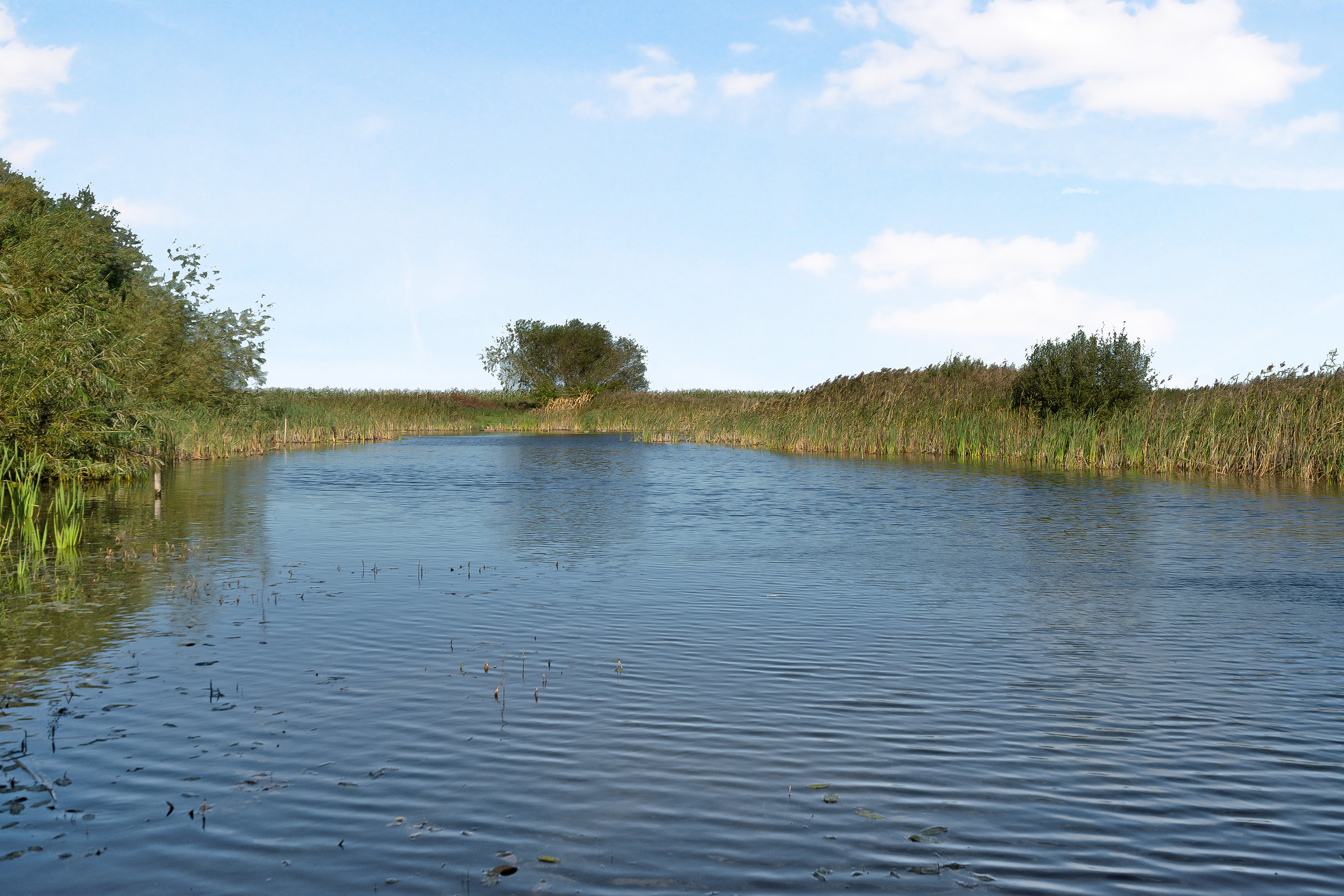 Fremhævet  billede i fuldskærmstilstand. Billede af Hvilhusevej 24, Tørring, 8970 Havndal