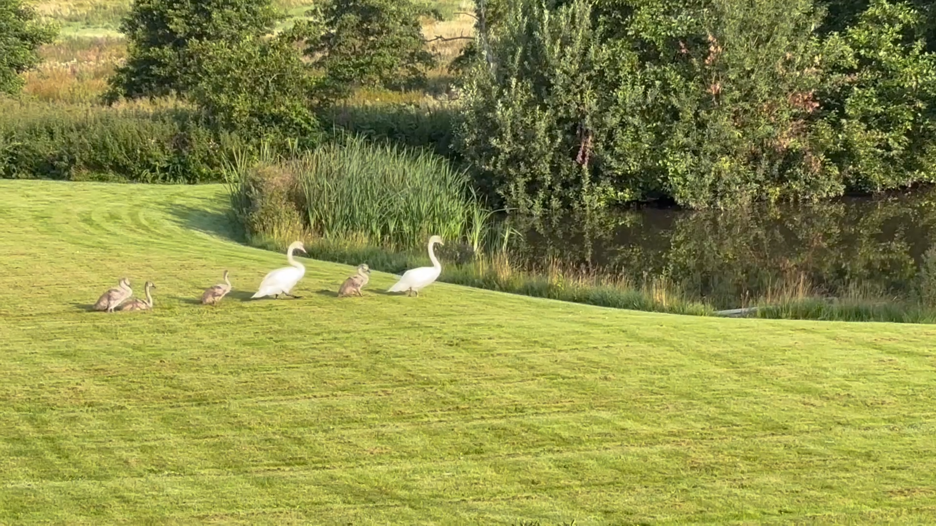 Fremhævet  billede i fuldskærmstilstand. Billede af Jordløsevej 21, V Hæsinge, 5672 Broby