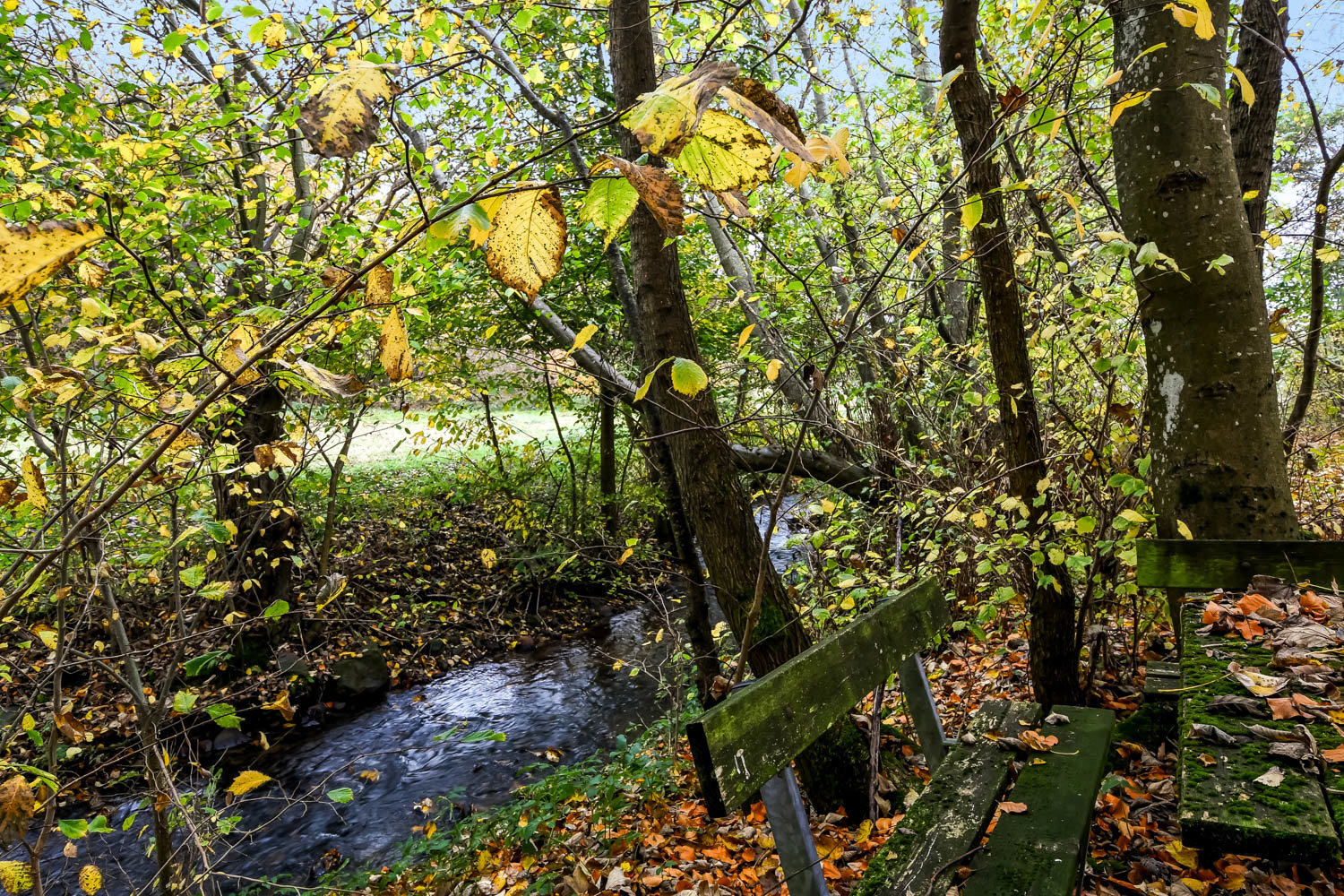 Fremhævet  billede i fuldskærmstilstand. Billede af Lindeborgvej 18, 7560 Hjerm